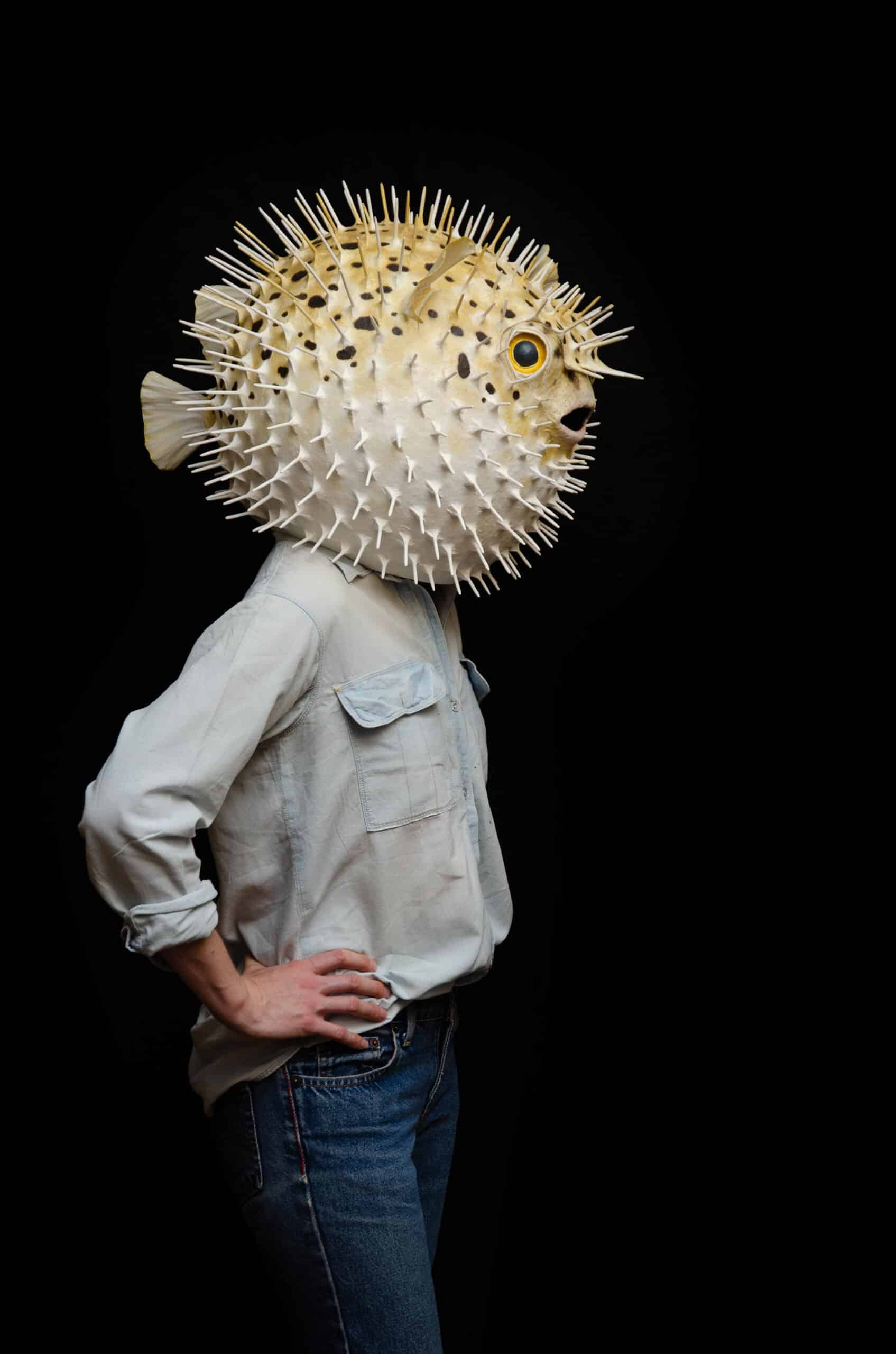Liz Sexton Porcupinefish