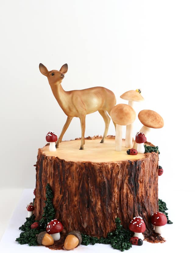 Nature Cake alana jones mann