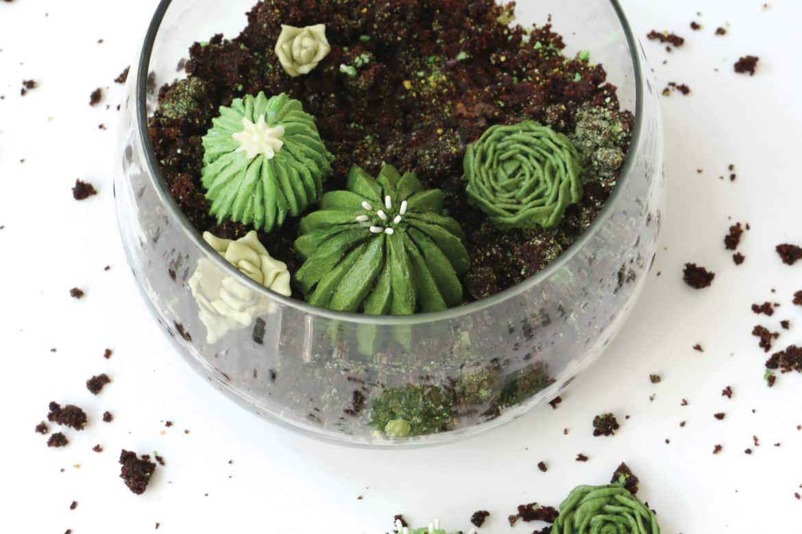 Terrarium Cake alana jones mann