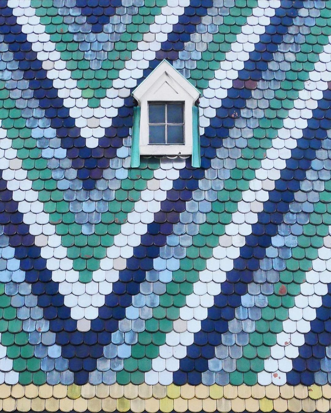 awa wally koval pink blue