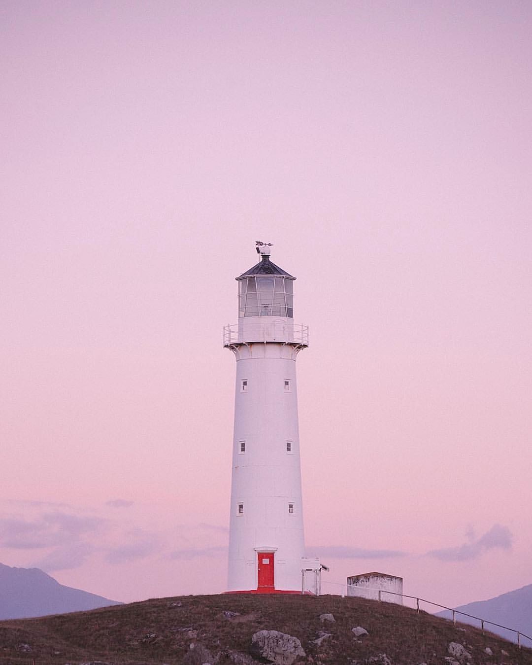 awa wally koval pink