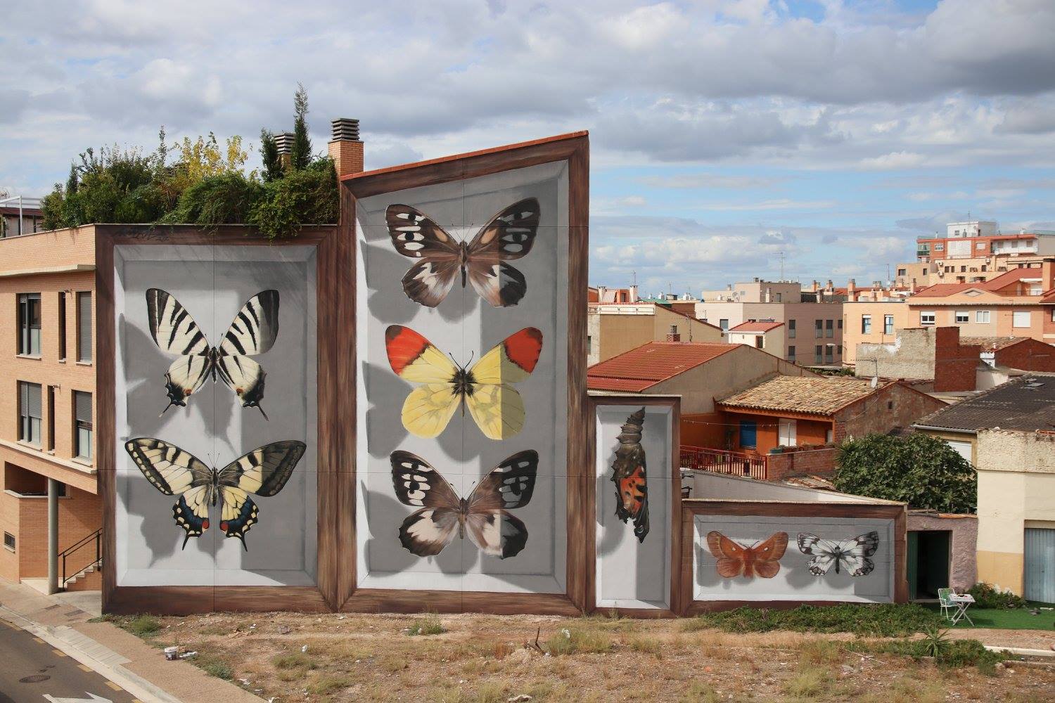 coleccion de mariposas de mantra