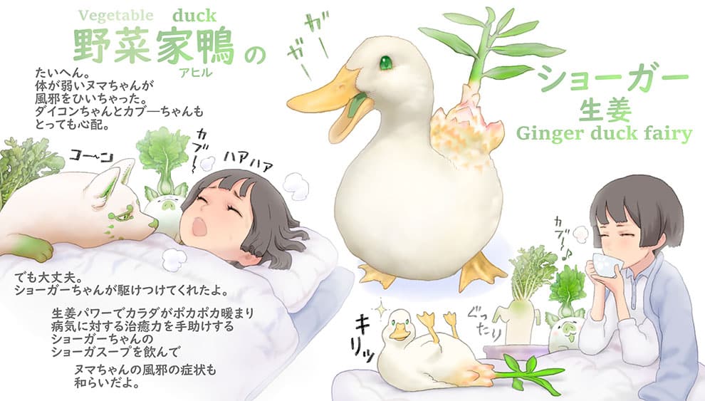 jenjibre pato ponkichi