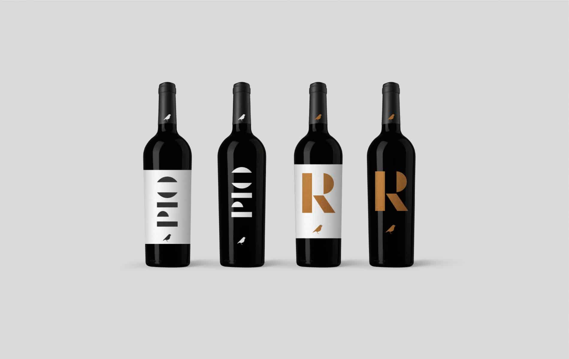 pio del paramo branding