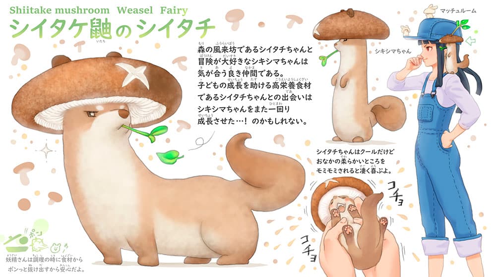 sheetake zorro ponkichi