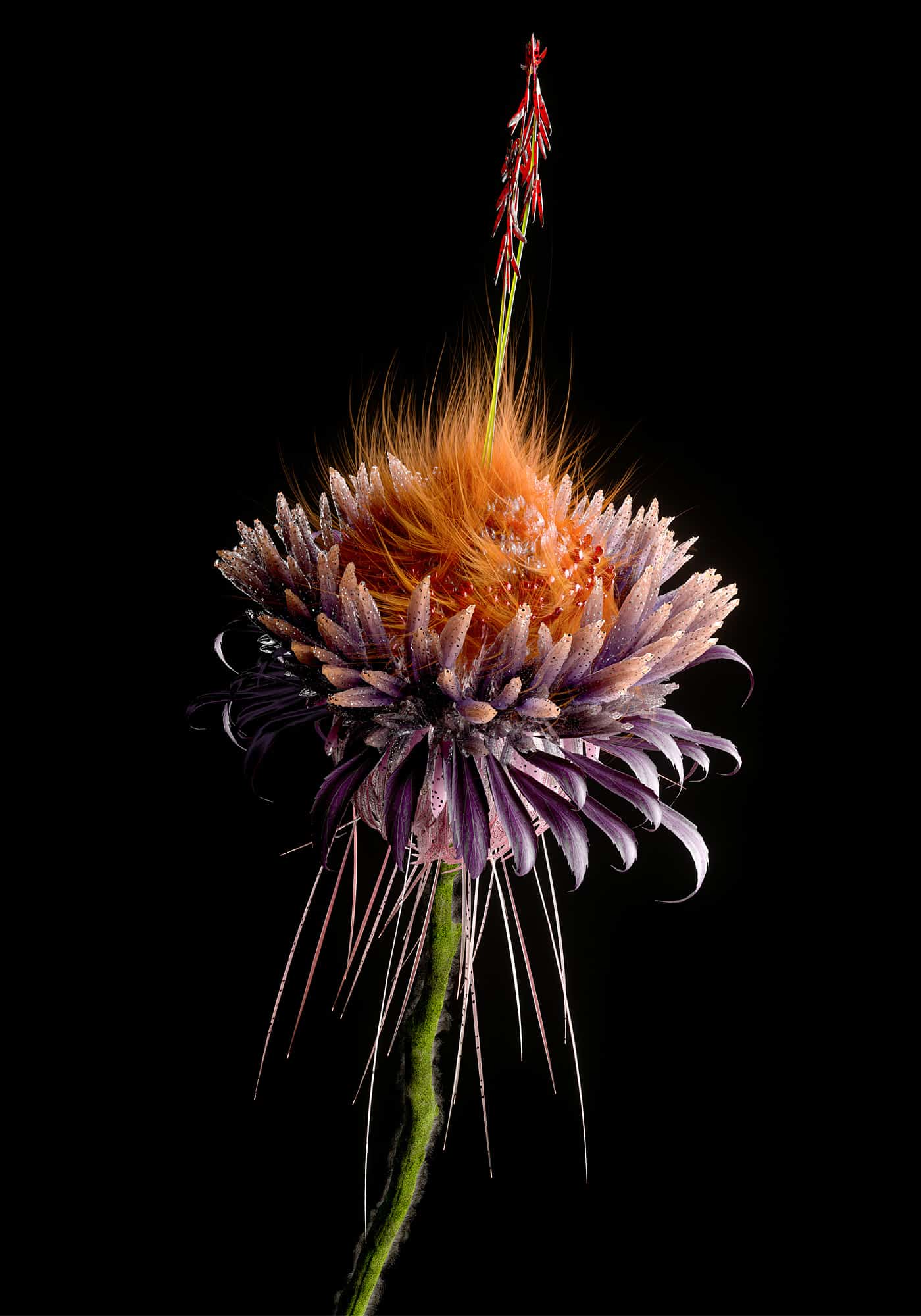 ARTFICIAL BLOOM FLOR
