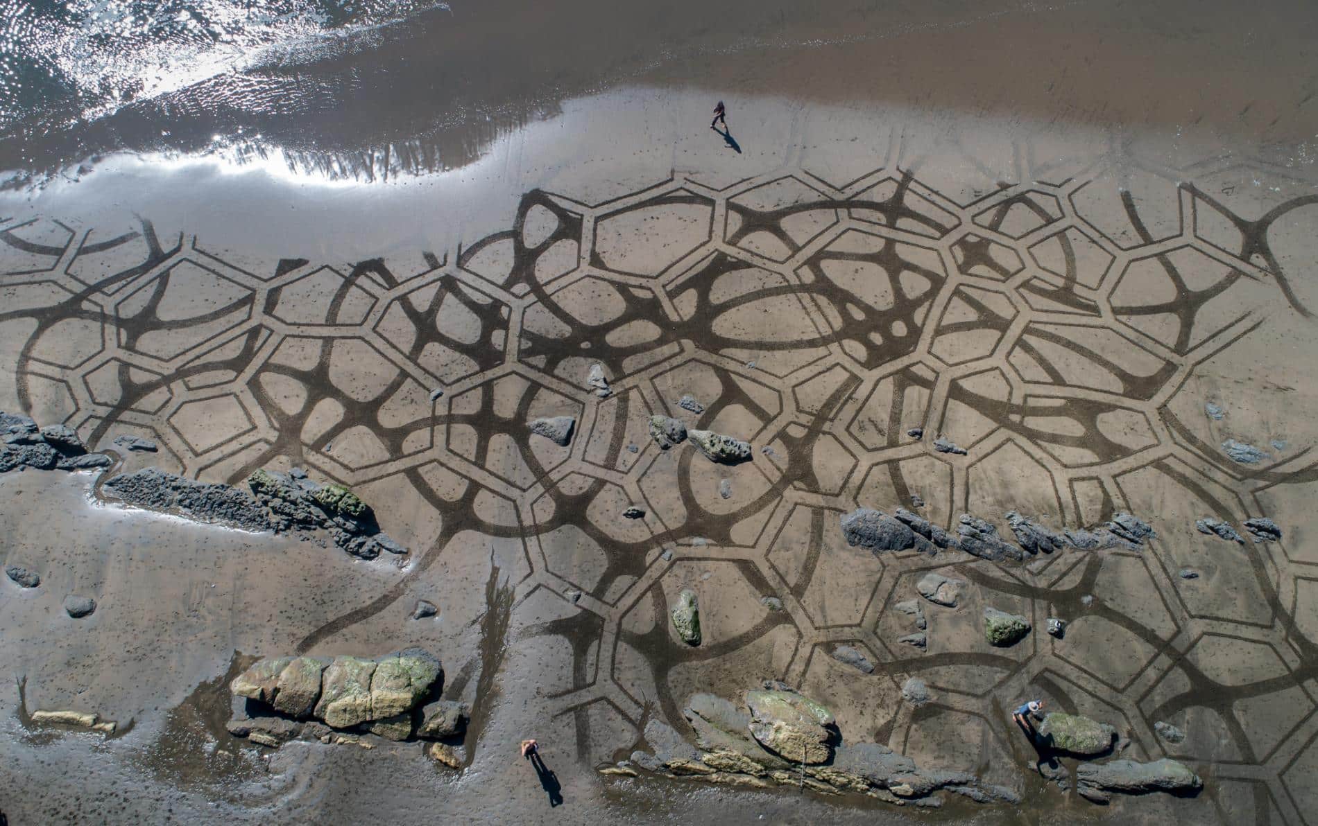 arte en playas de california amador
