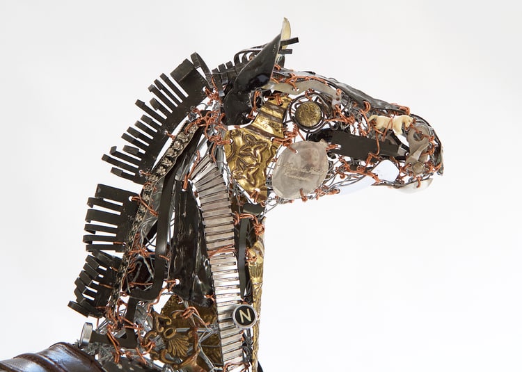 cabeza de caballo recoldo barbara franc