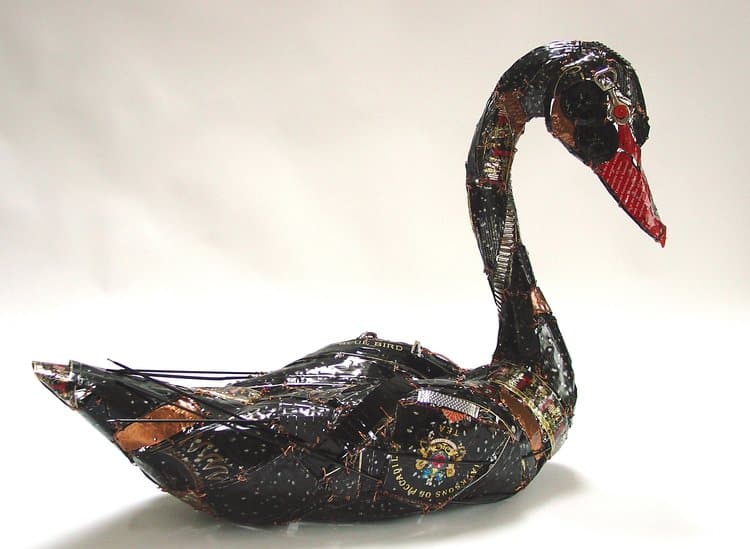 cisne negro barbara franc