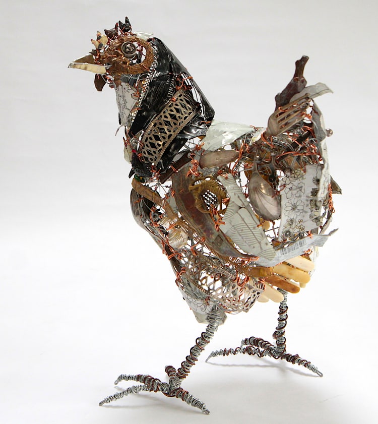 gallina barbara franc