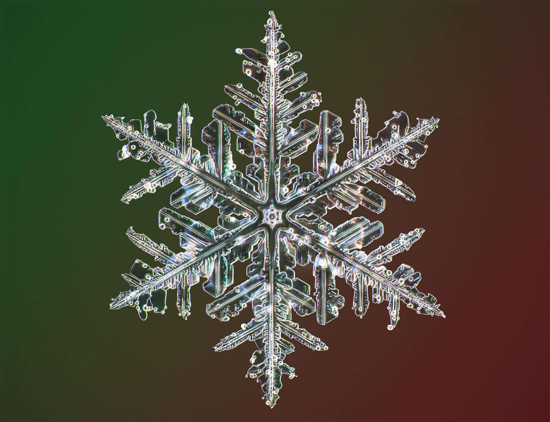 copo de nieve por microscopico