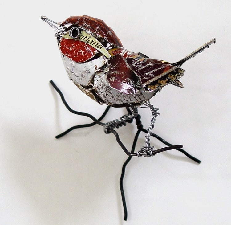 pajaro barbara franc