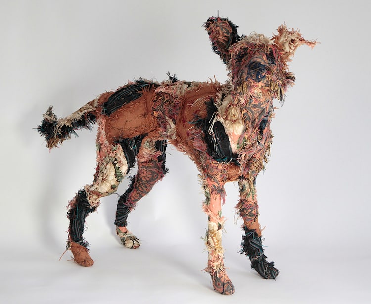 perrito barbara franc