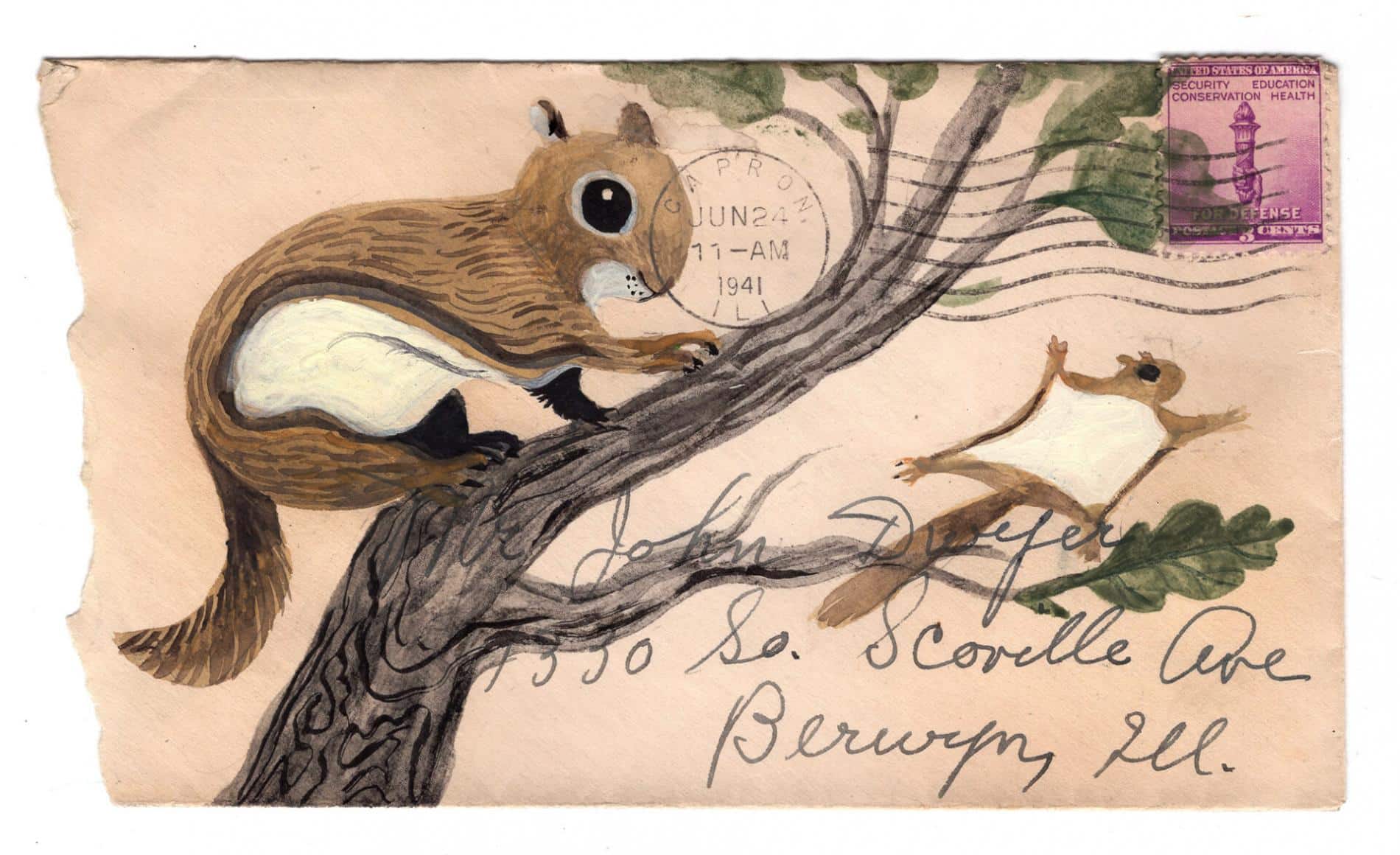 postales animales diana sudyka ardilla