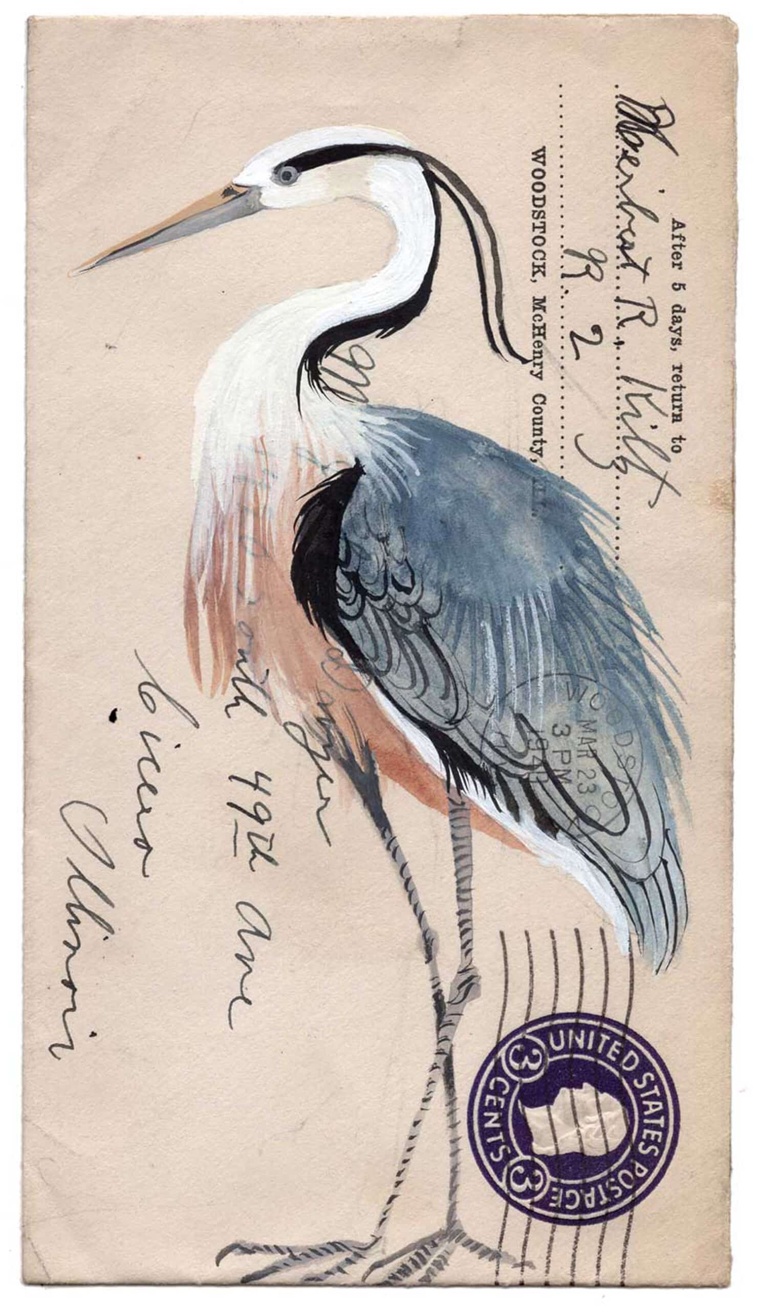 postales animales diana sudyka ave