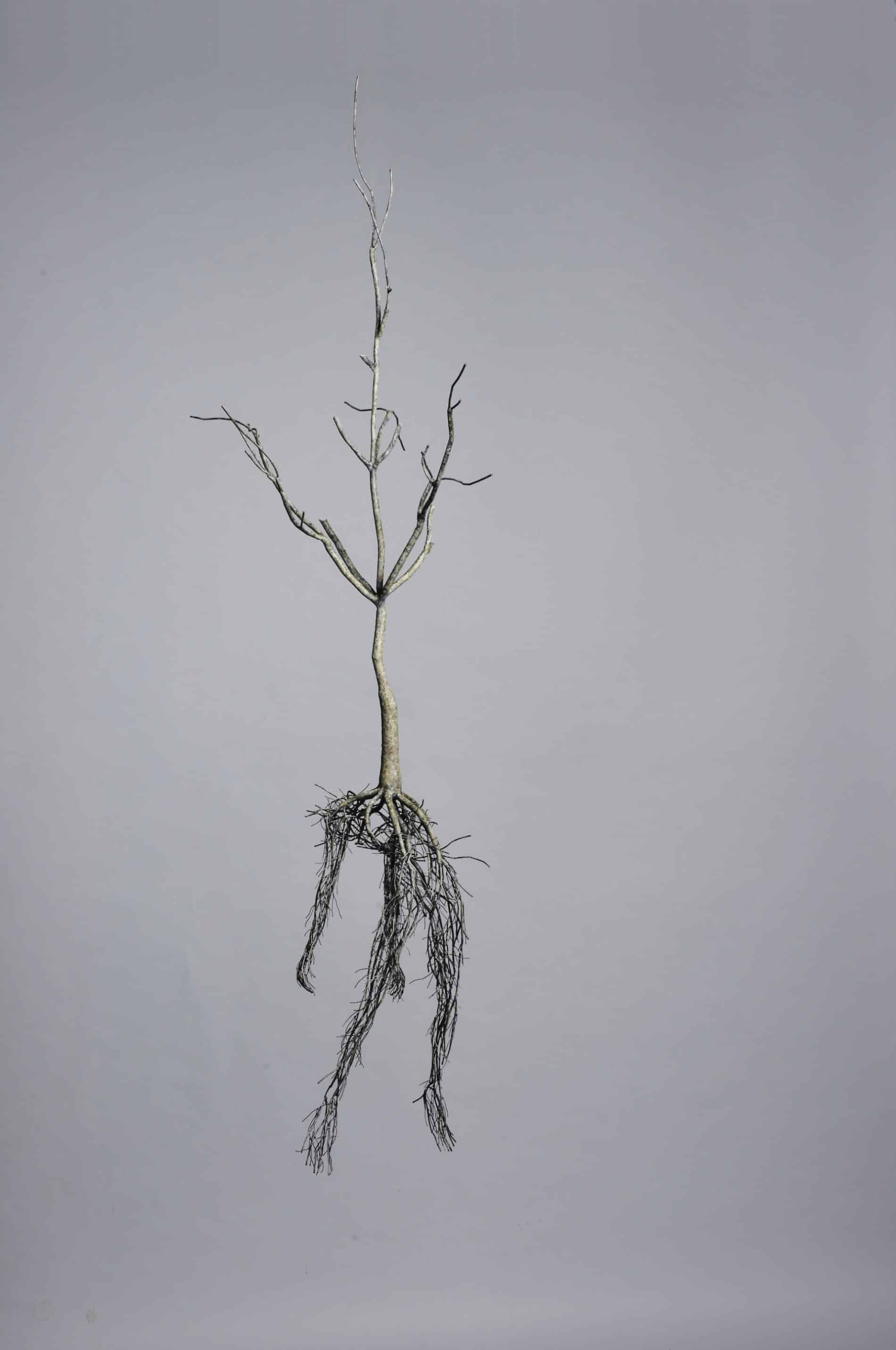 raices de acero inoxidable sun hyuk kim ser cuelga
