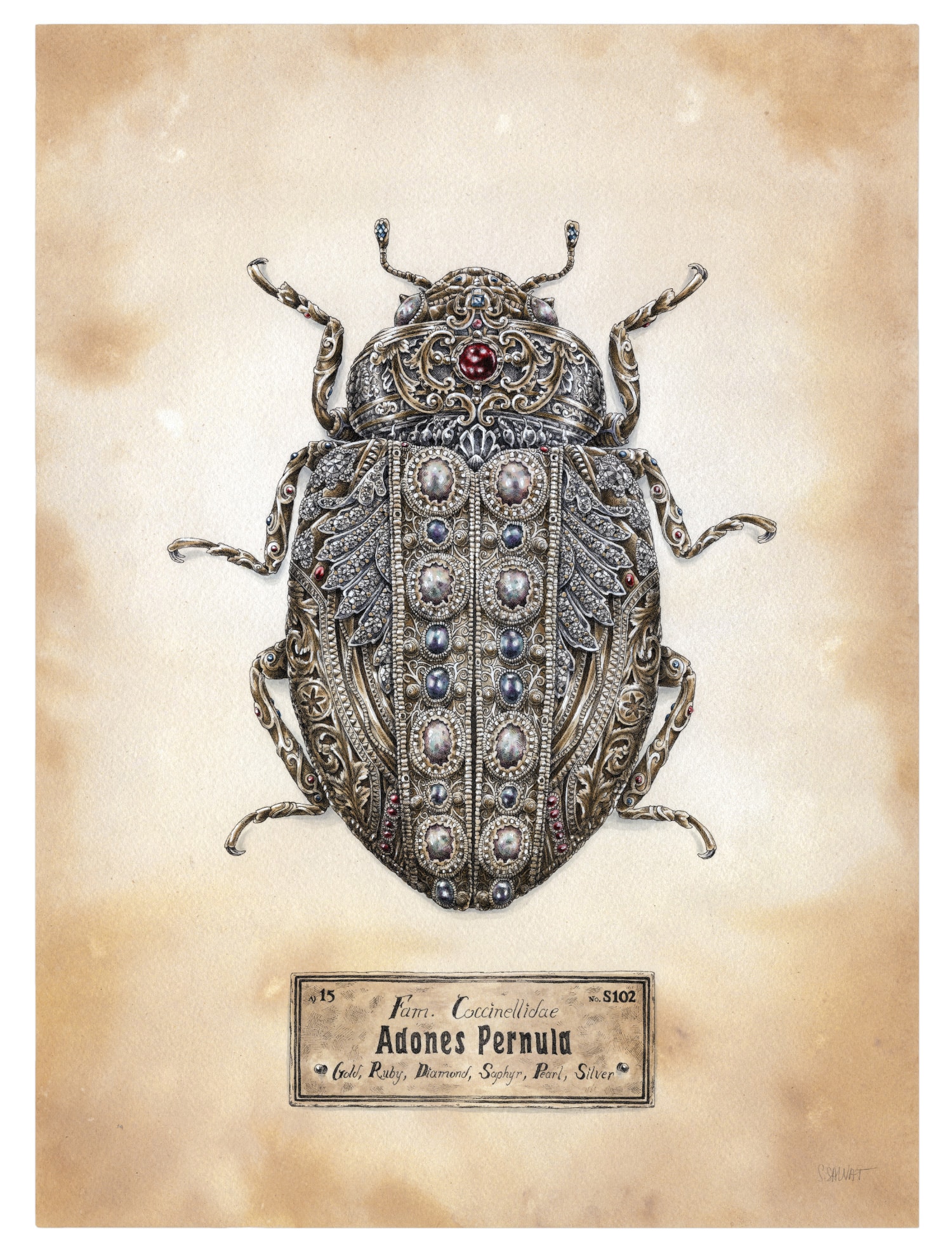 STEEVEN SALVAT ILUSTRACION BICHO