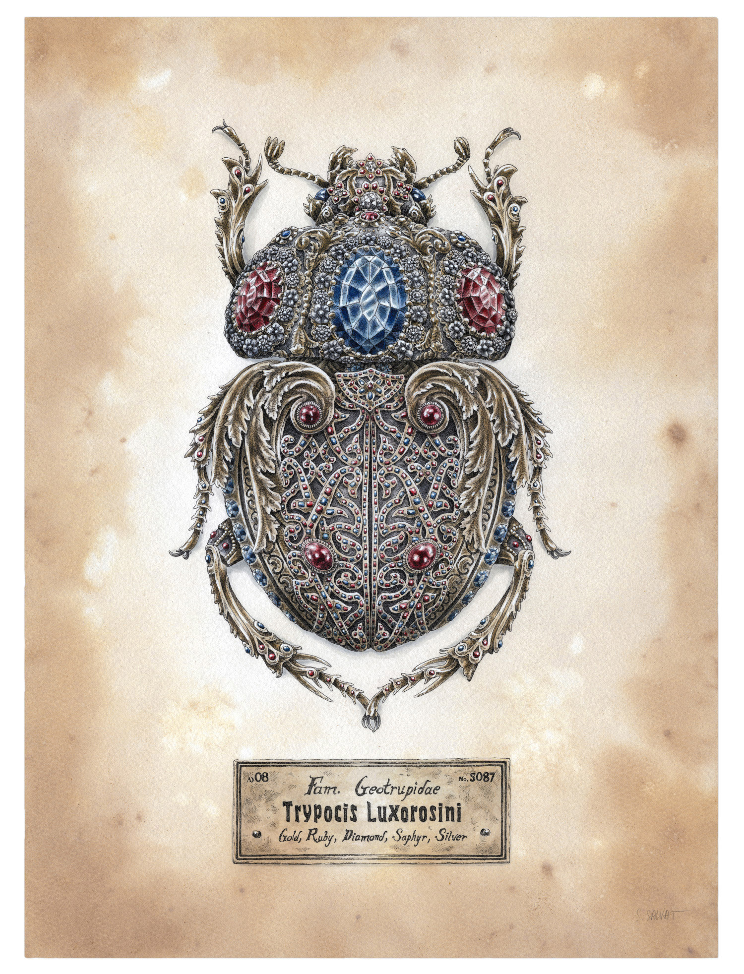 STEEVEN SALVAT ILUSTRACION ESCARABAJO