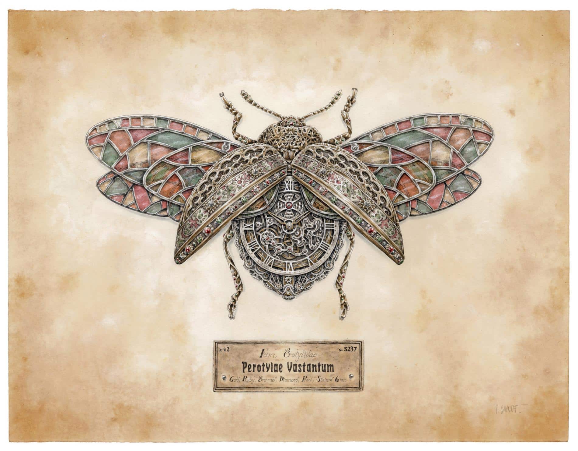 STEEVEN SALVAT ILUSTRACION POLILLA
