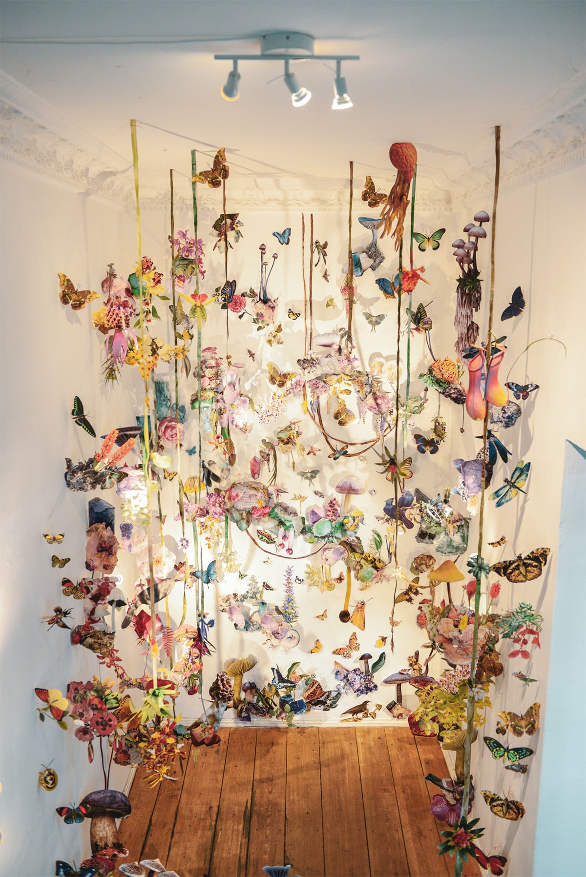 biodiversidad clare boersch flora y fauna