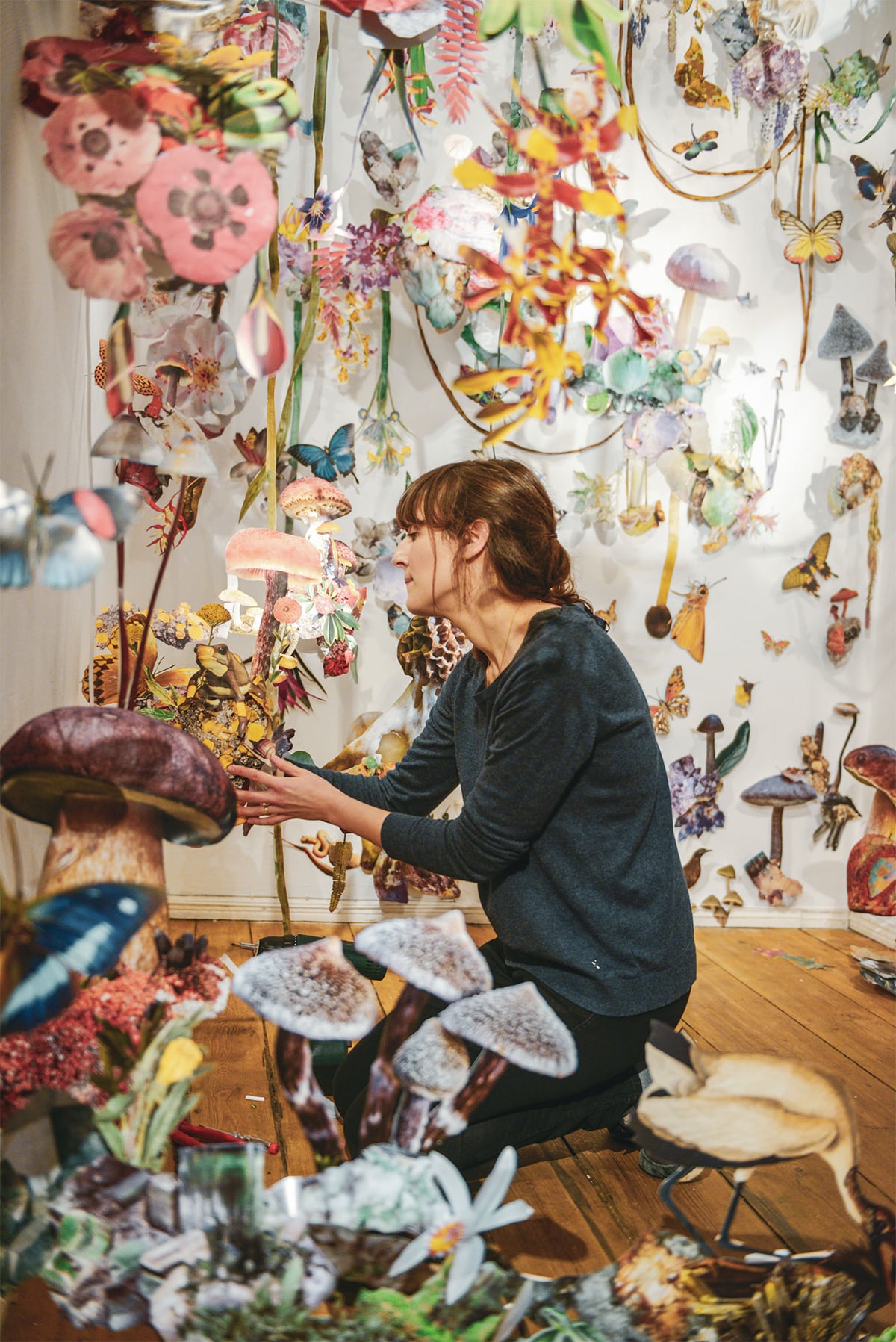 biodiversidad clare boersch her