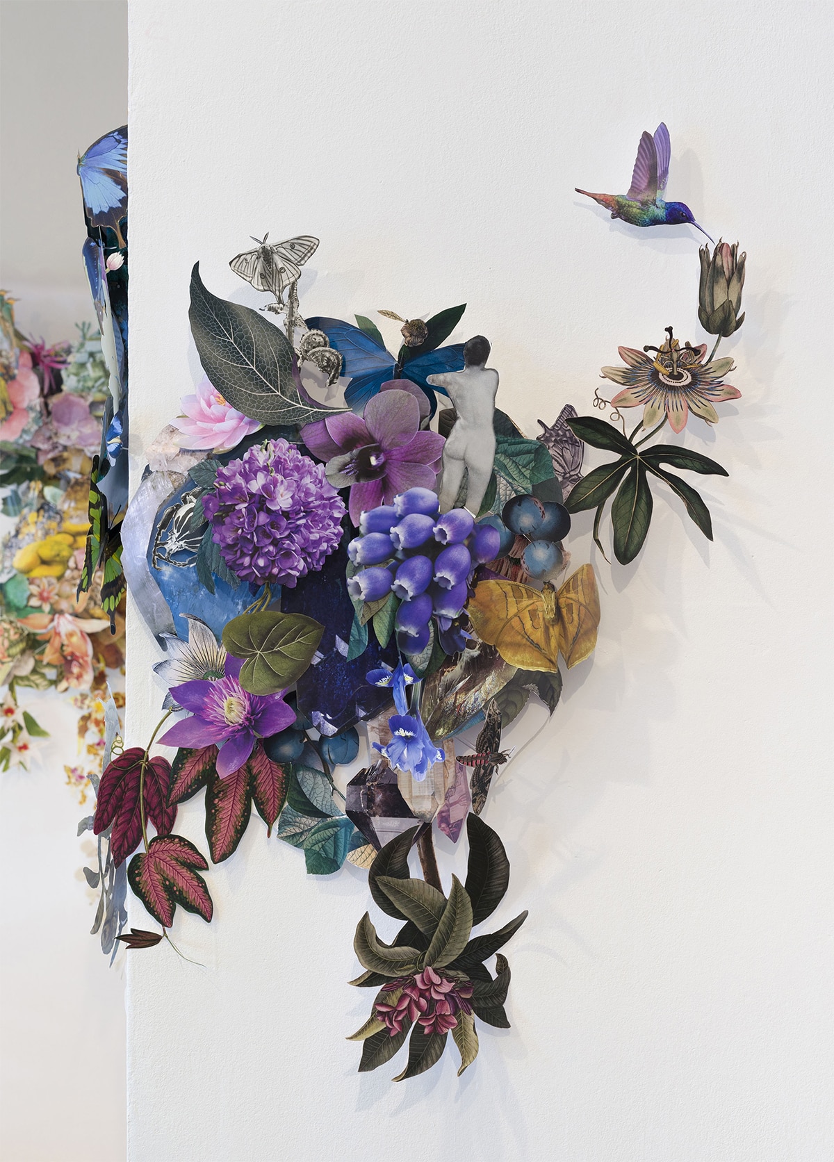 biodiversidad clare boersch instalaciones cuerpo