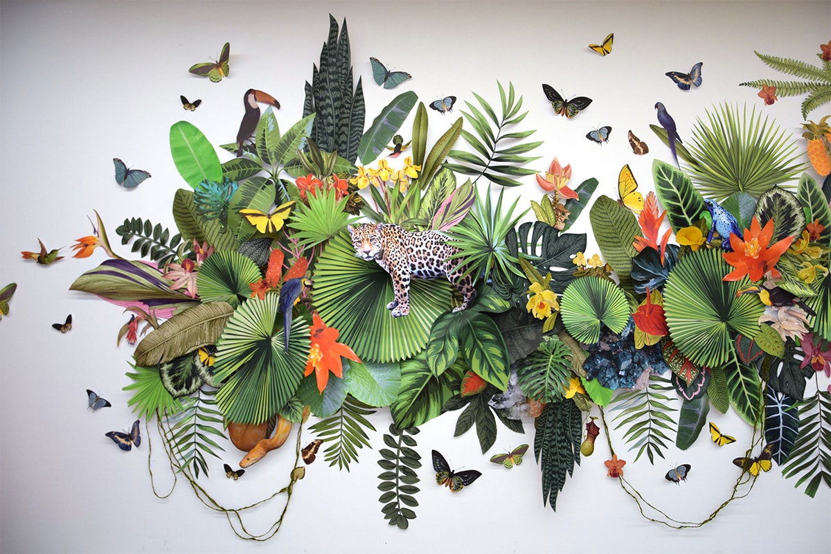 biodiversidad clare boersch selva