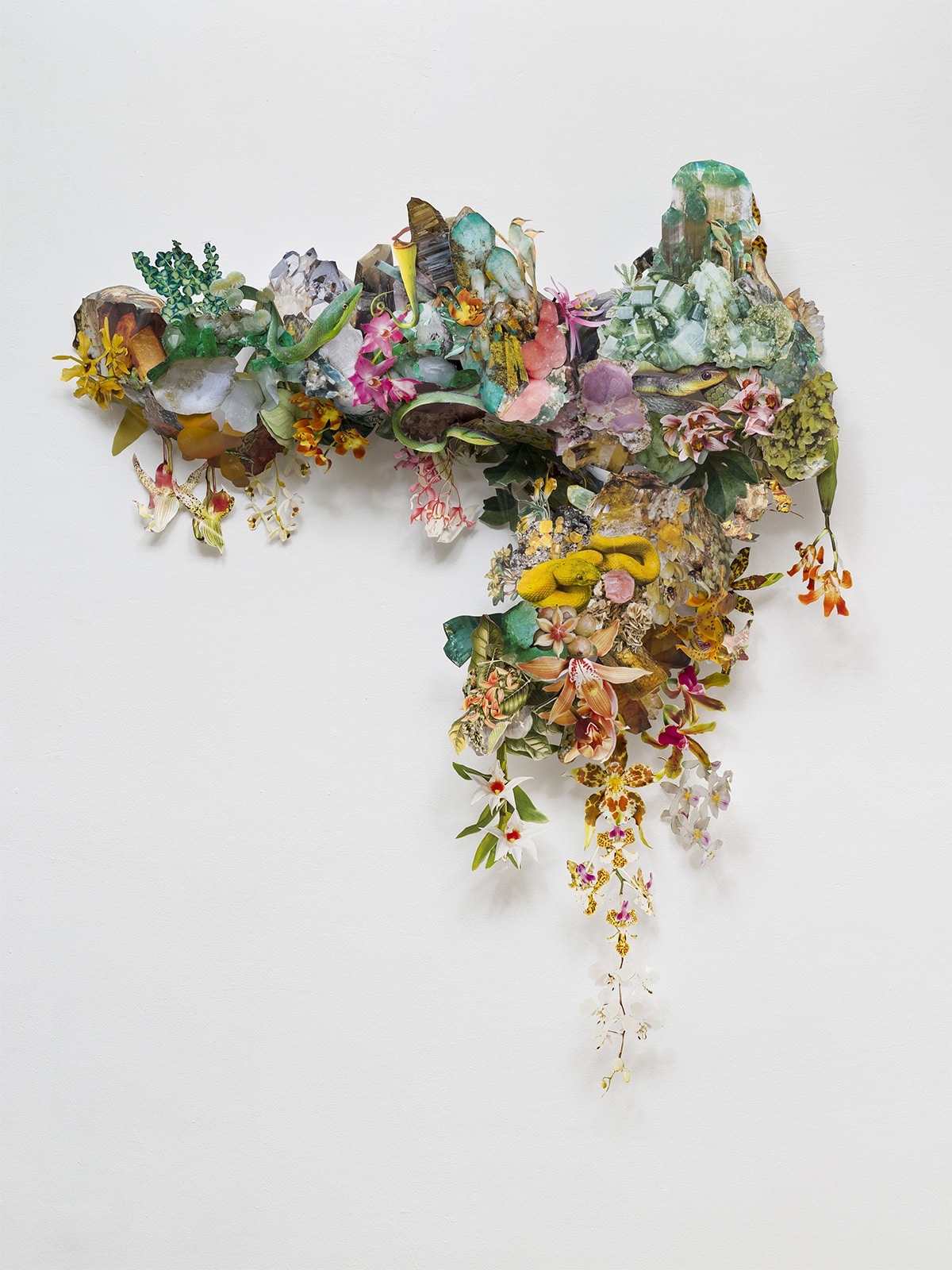 biodiversidad clare boersch