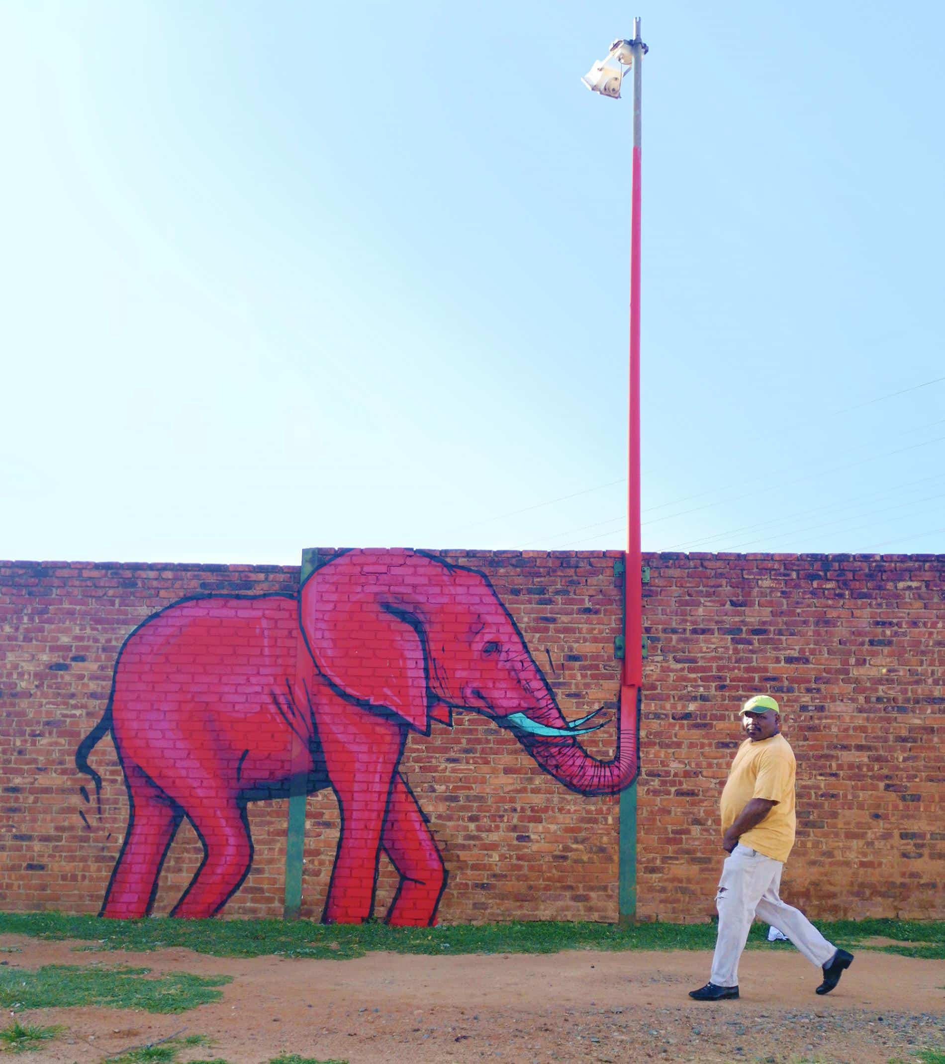 falko one elefantes sudafrica poste