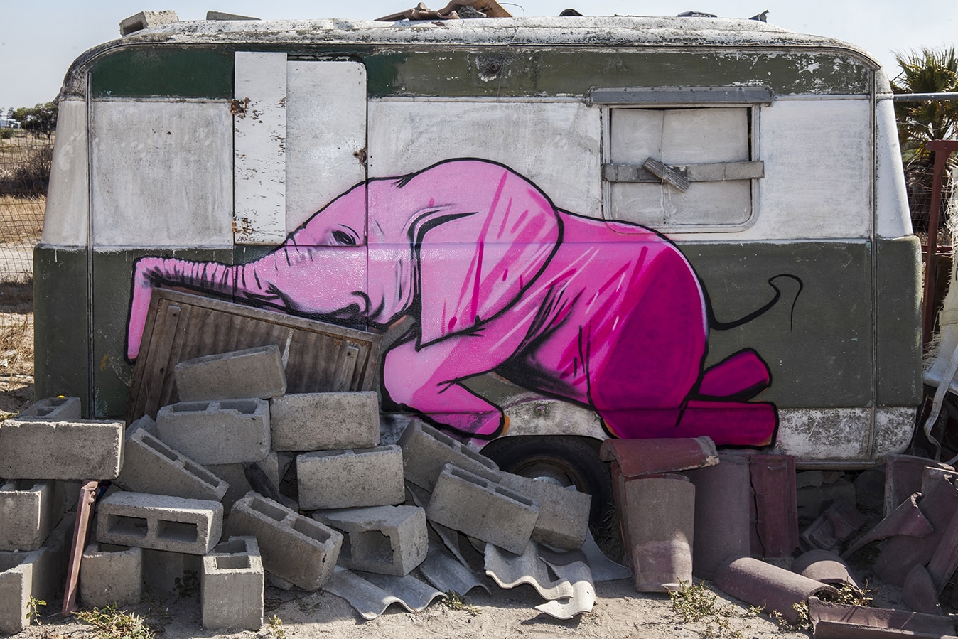 falko one elefantes sudafrica ruinas
