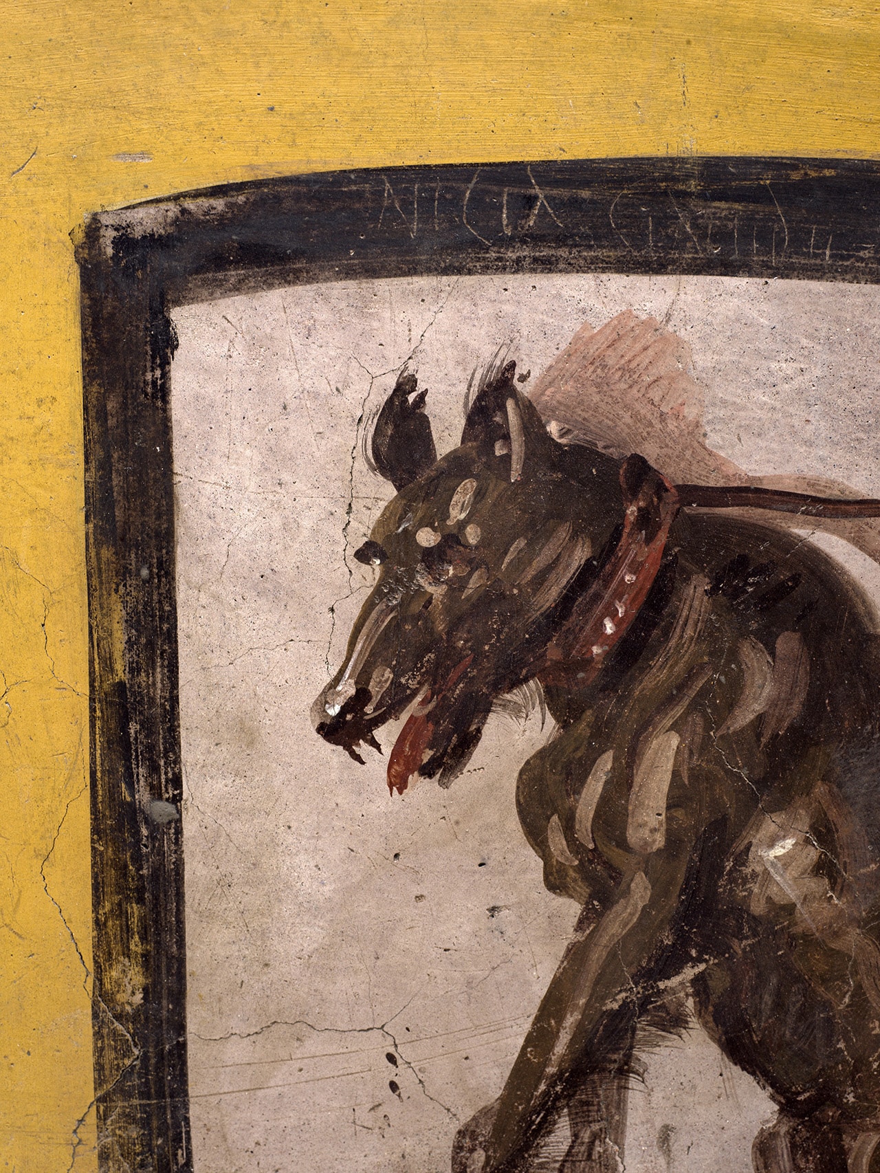 thermopolium PERRO