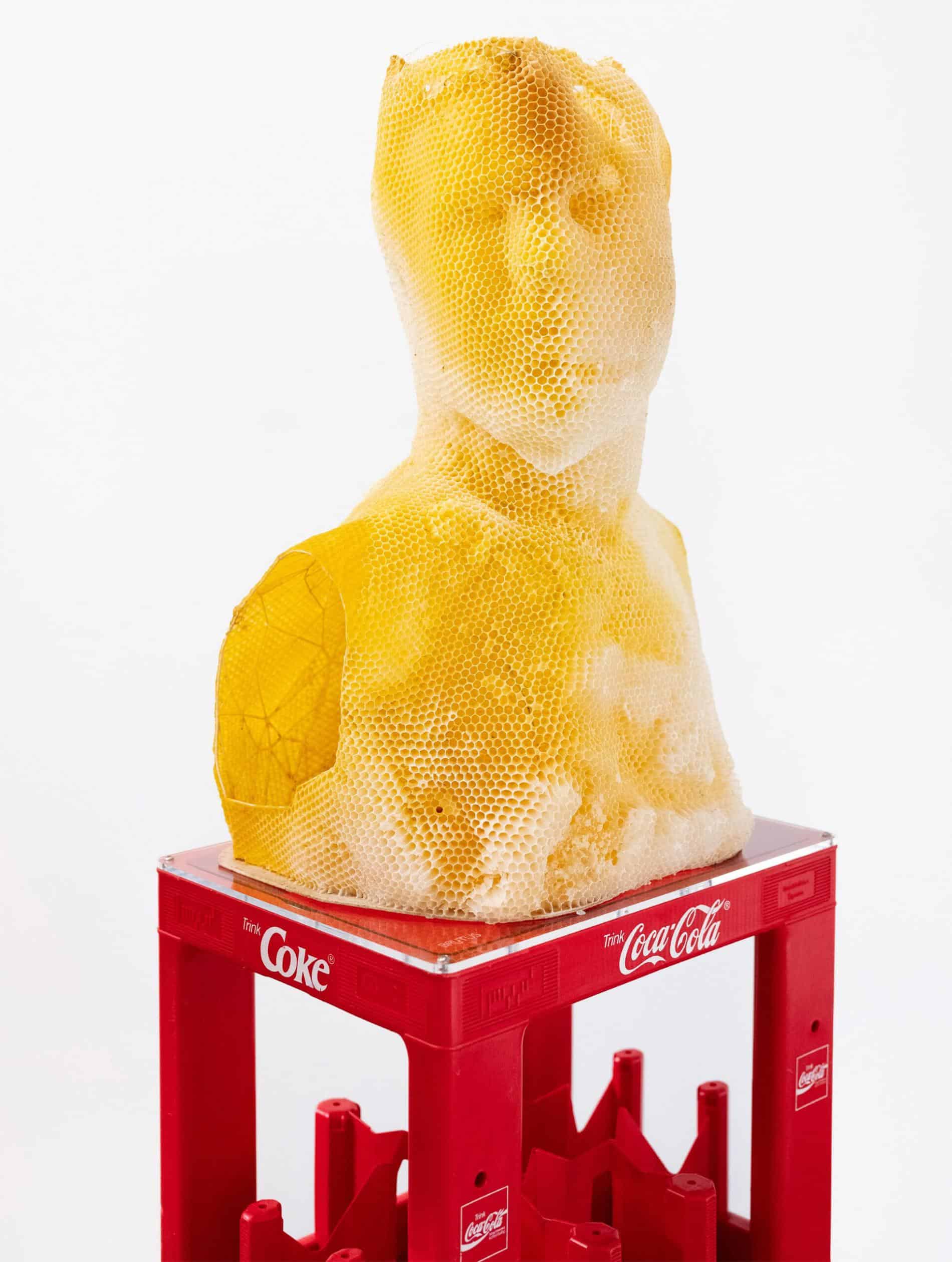 Brutus tomas libertini exhibida coca cola