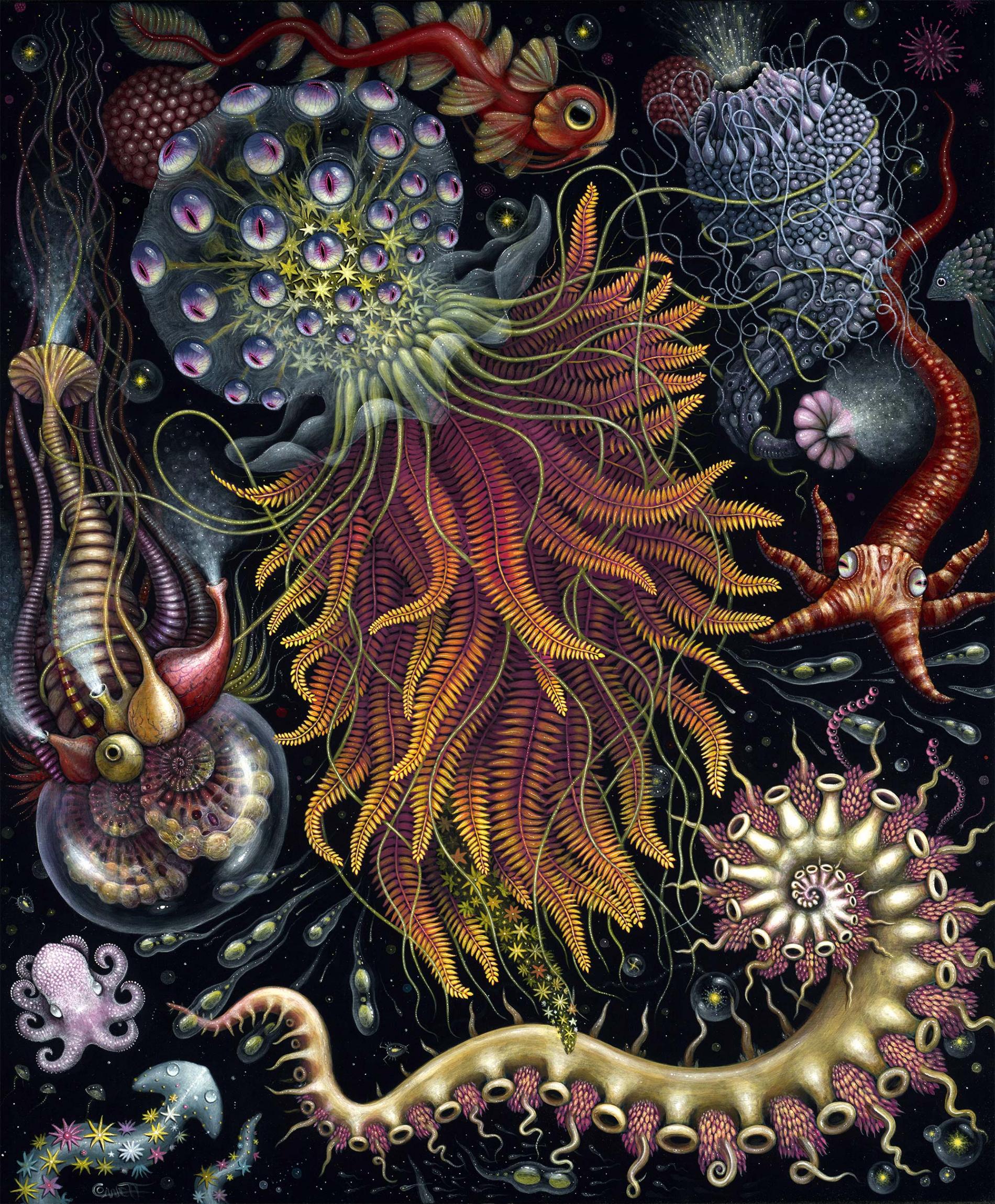 Robert Steven Connett mico universos Hydroza