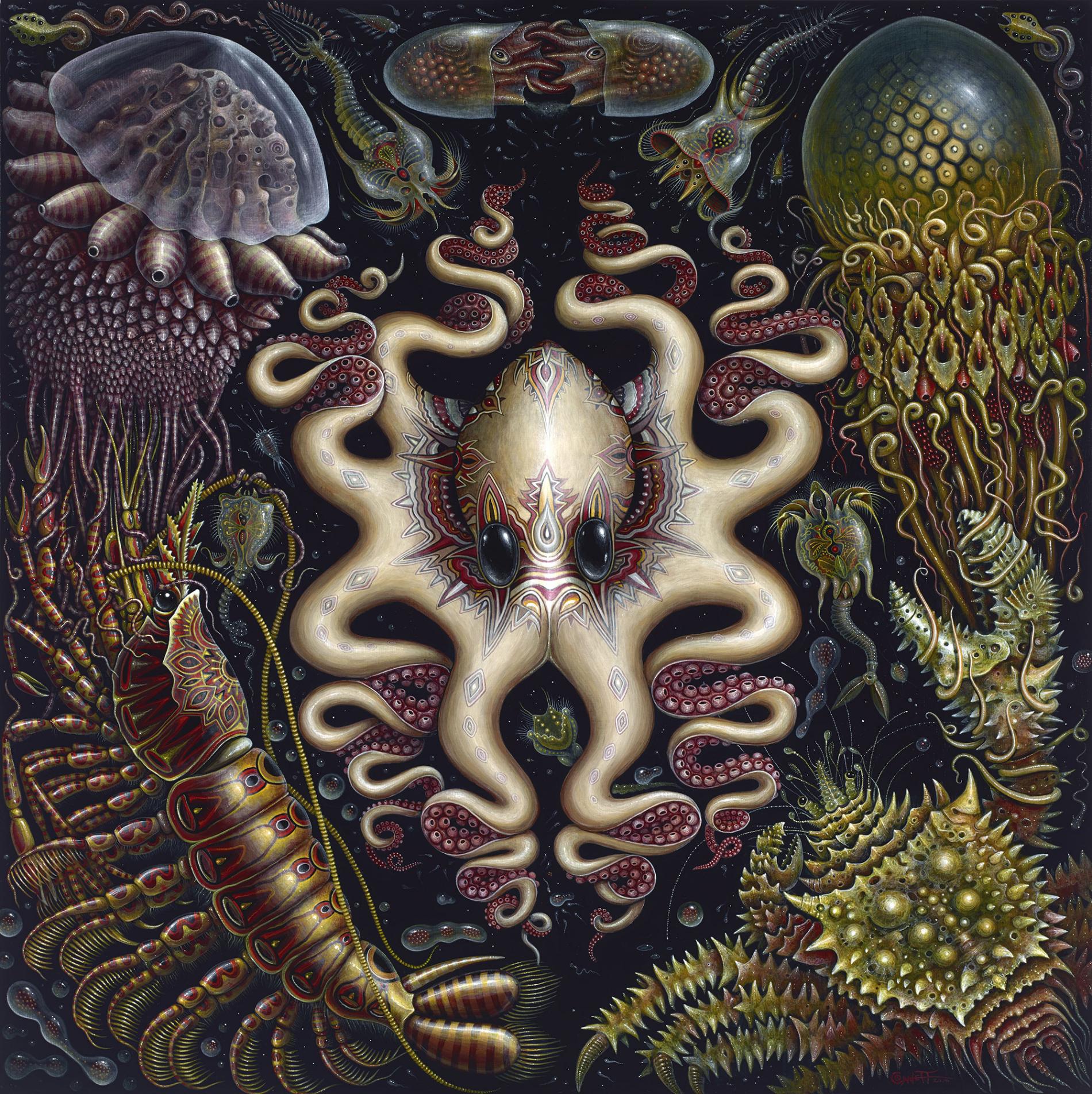 Robert Steven Connett mico universos Sea Fauna