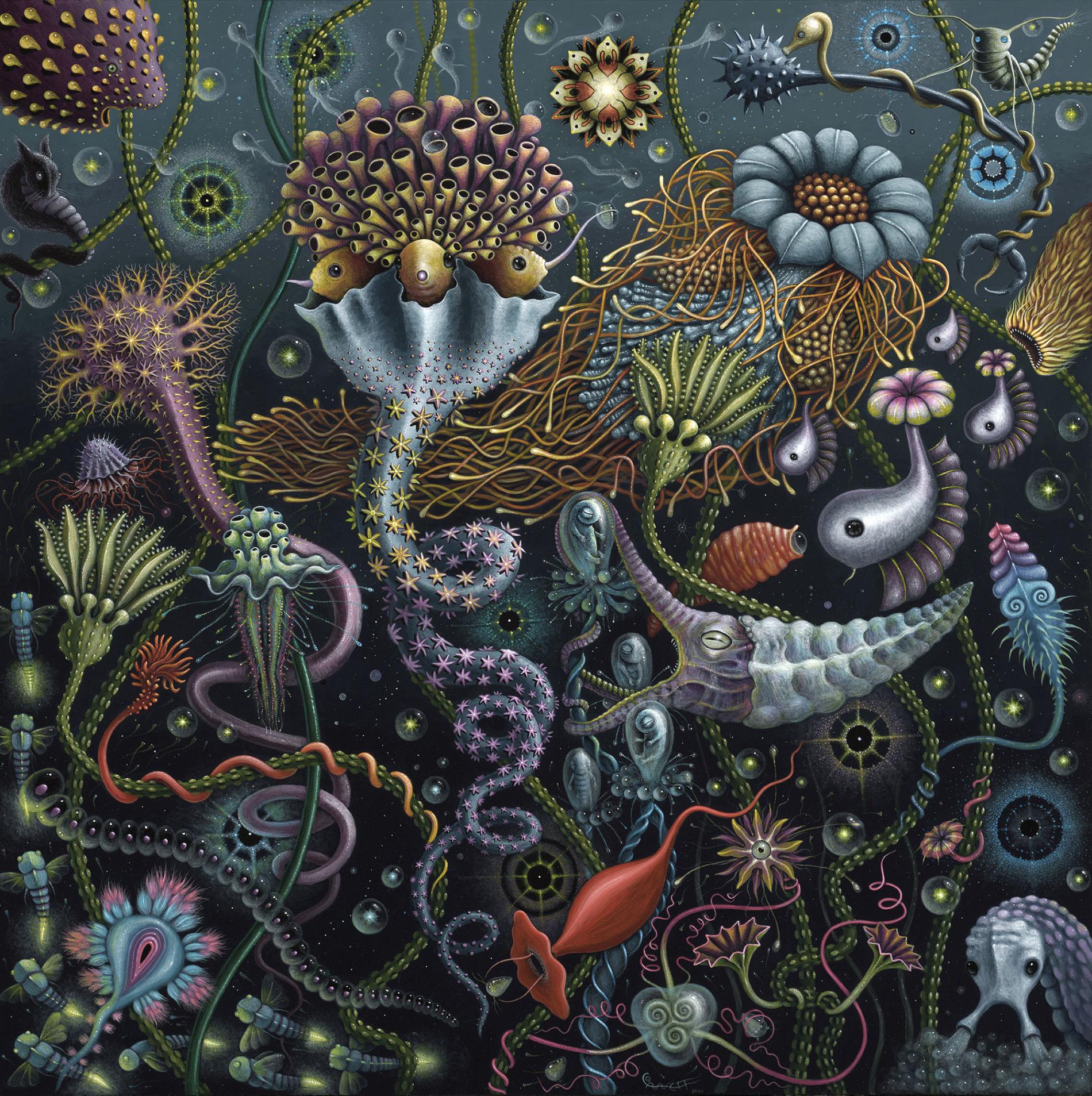 Robert Steven Connett mico universos Space Plankton 2