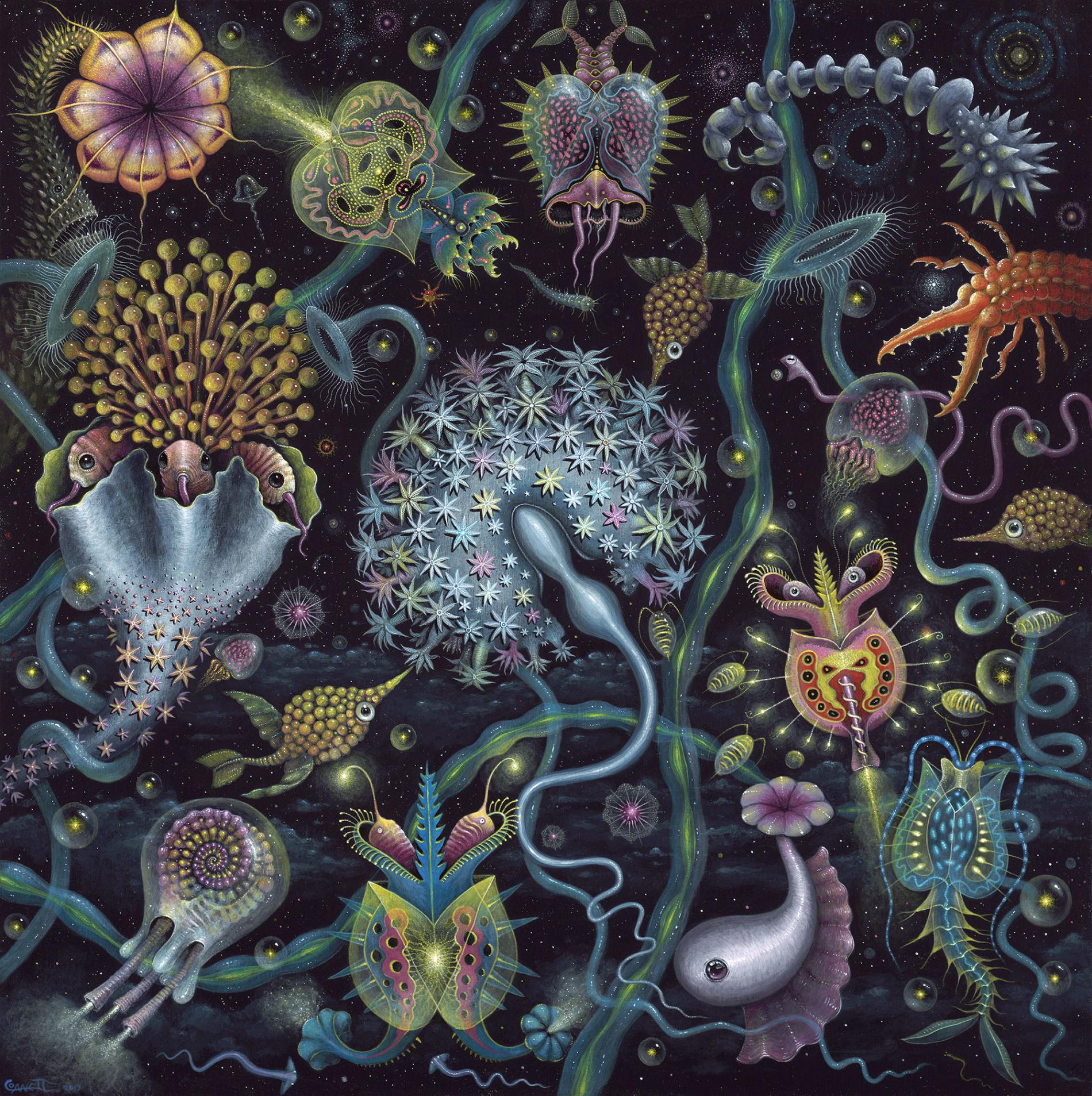 Robert Steven Connett mico universos Space Plankton