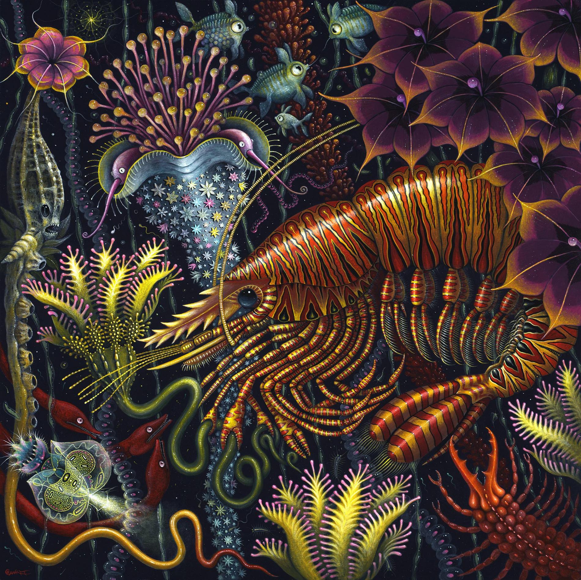 Robert Steven Connett mico universos flower Mimic