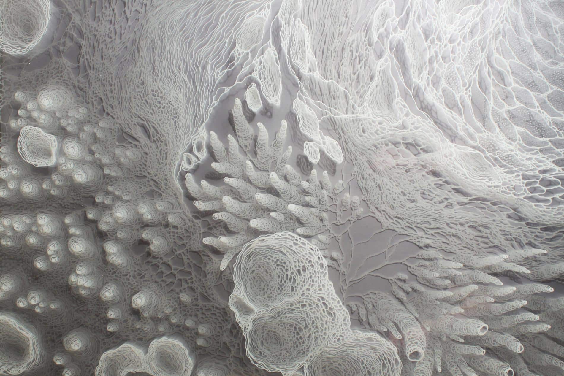 claudia bueno pulso detalle