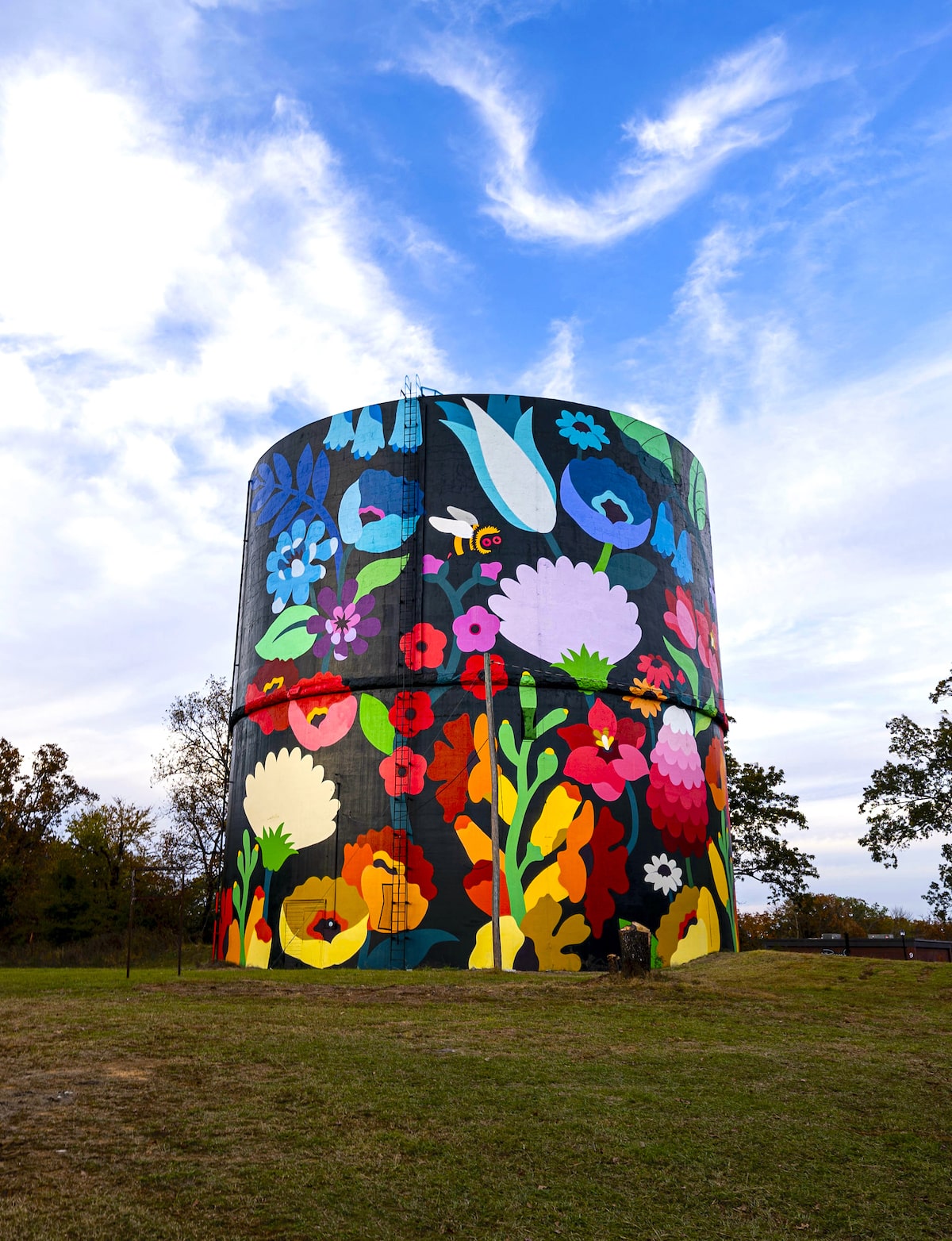 dabsmyla torre arkansas paisaje abejorro