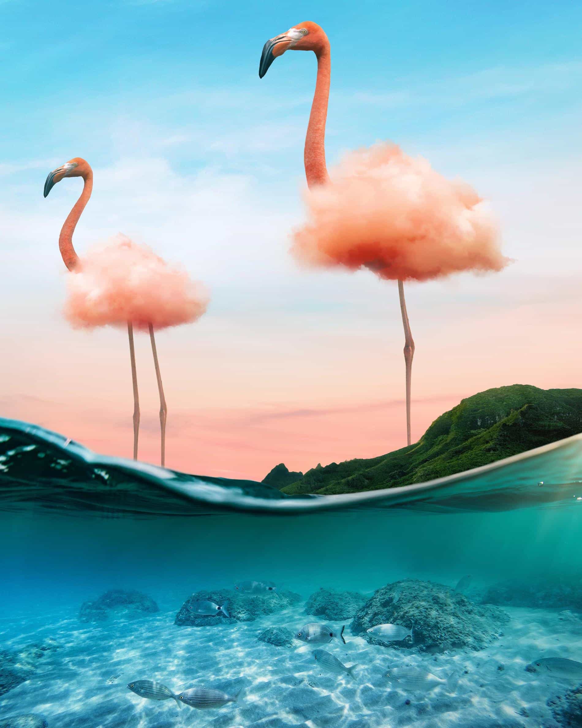 el pequeño mundo de ted flamingo