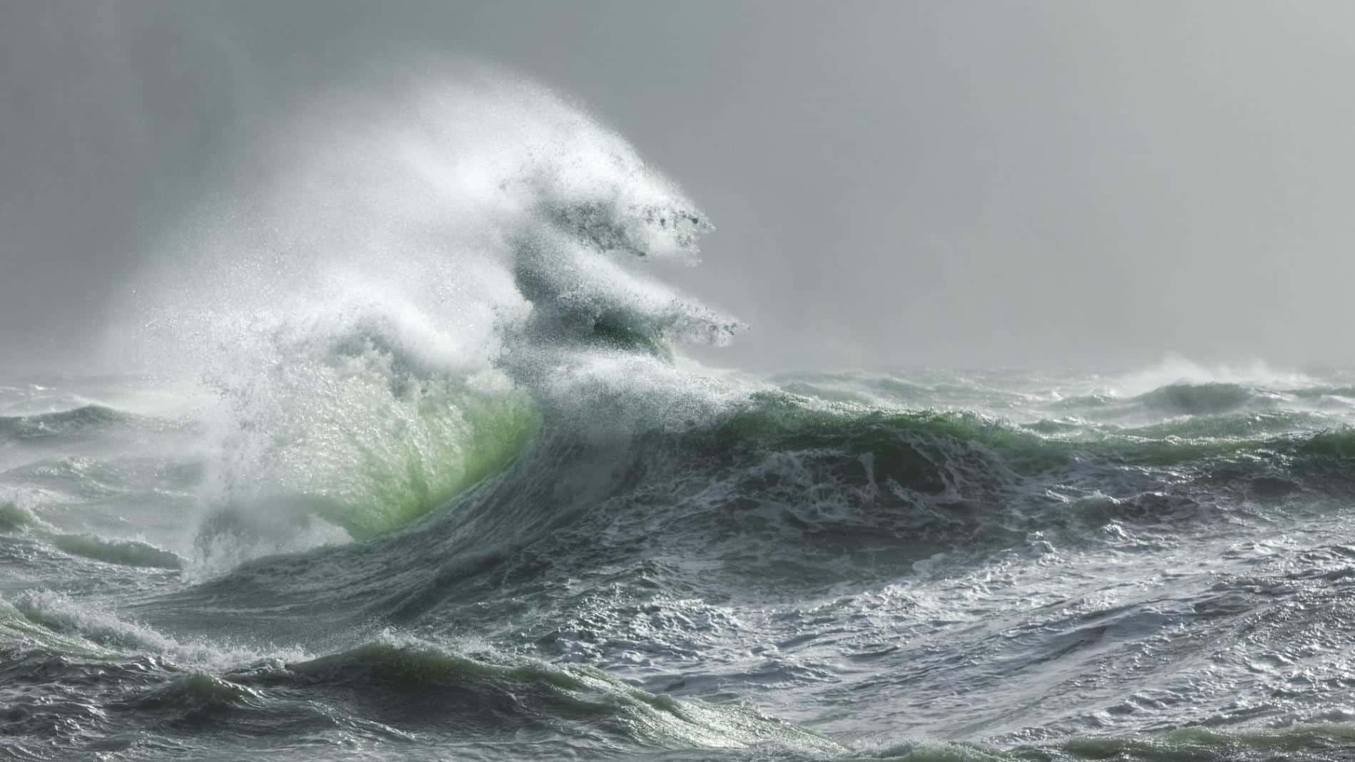 talibart tormentas y mareas makara