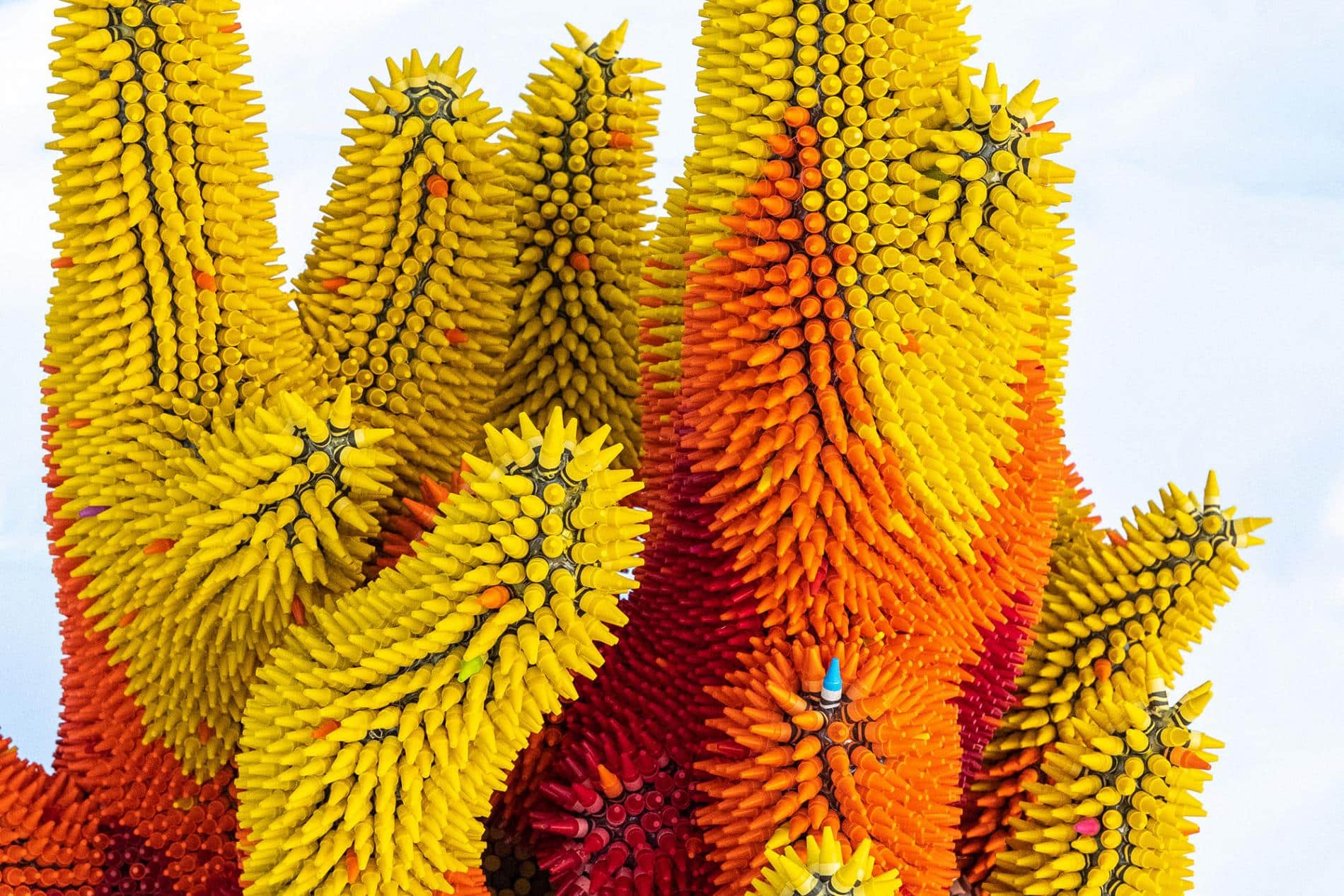 FUEGO CRAYOLAS WILLIAM HERB DETALLE 2