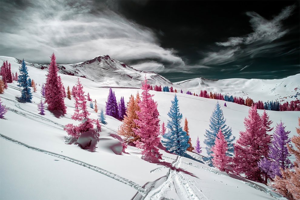 Home by Lys Olson, a winner in the landscape category Photo by Lys Olson