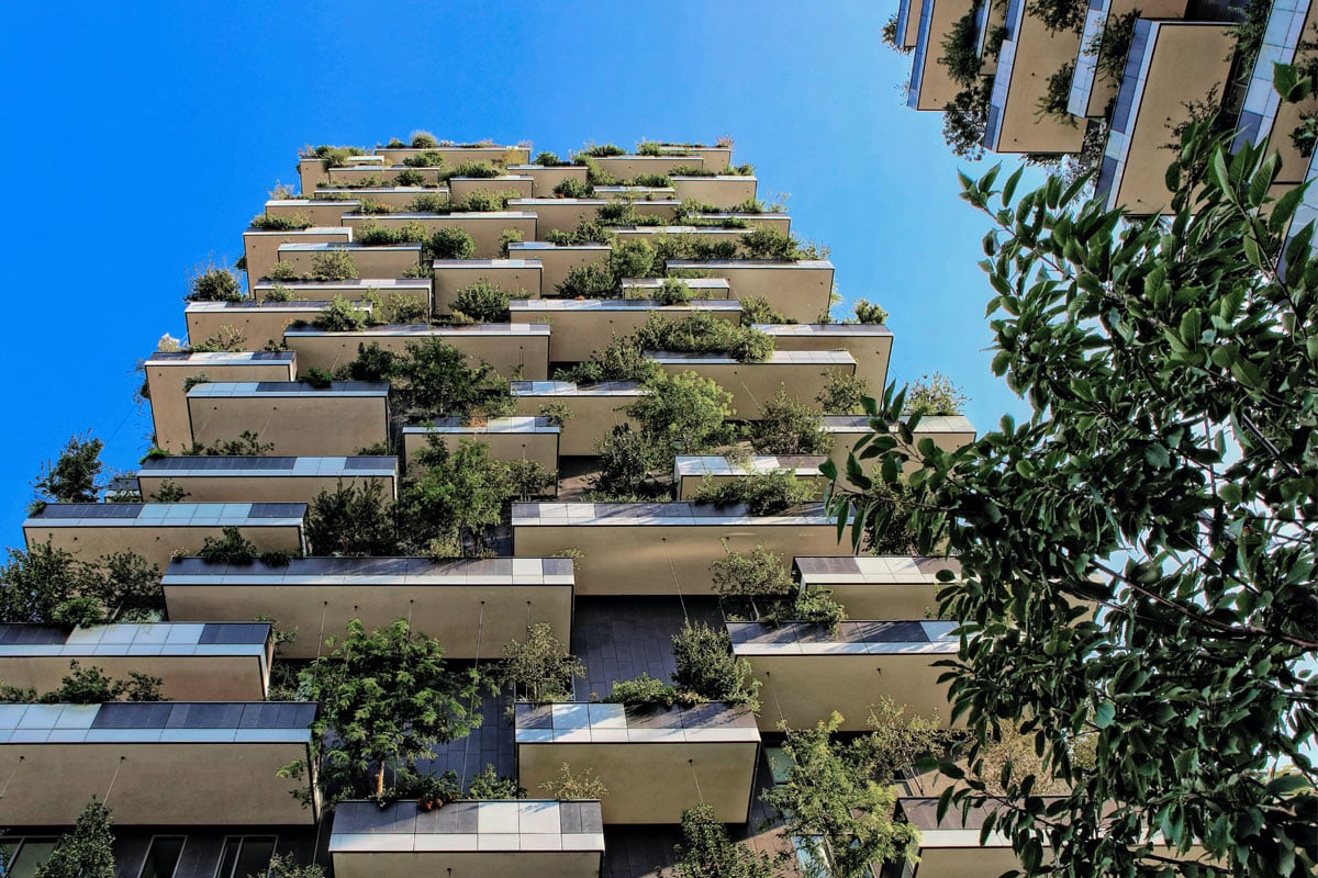 fotografía de un jardín colgante