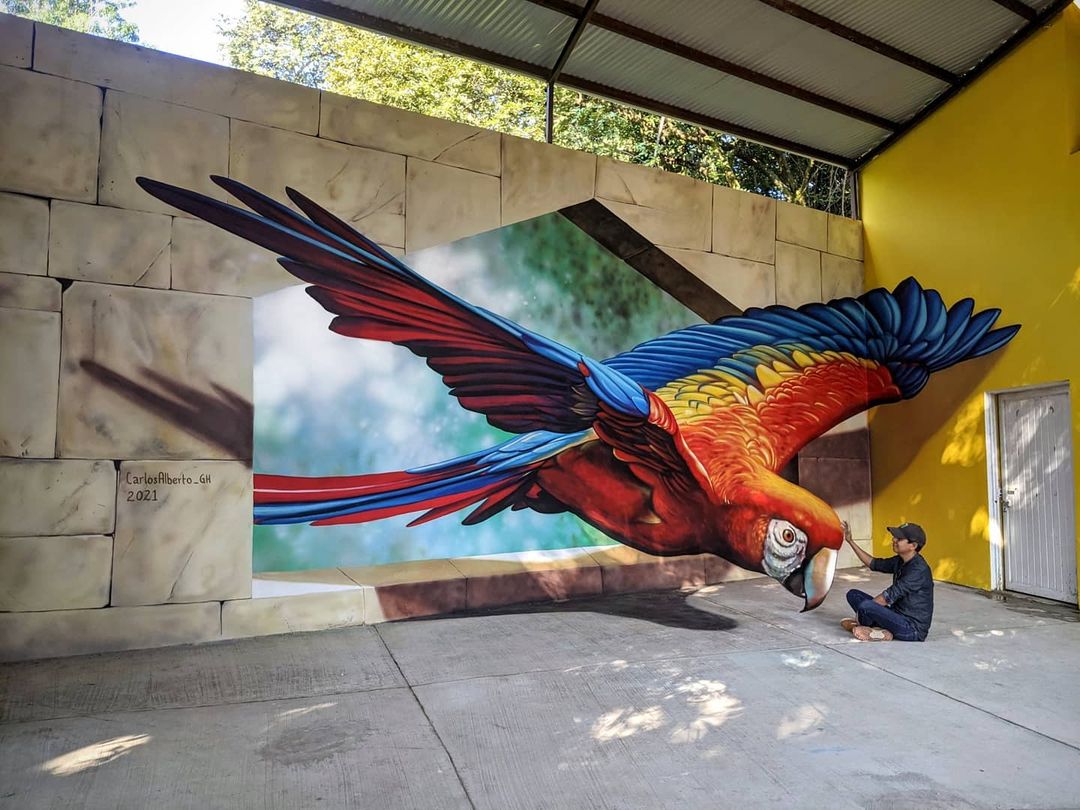 papagayo arte anamorfico carlos alberto gh