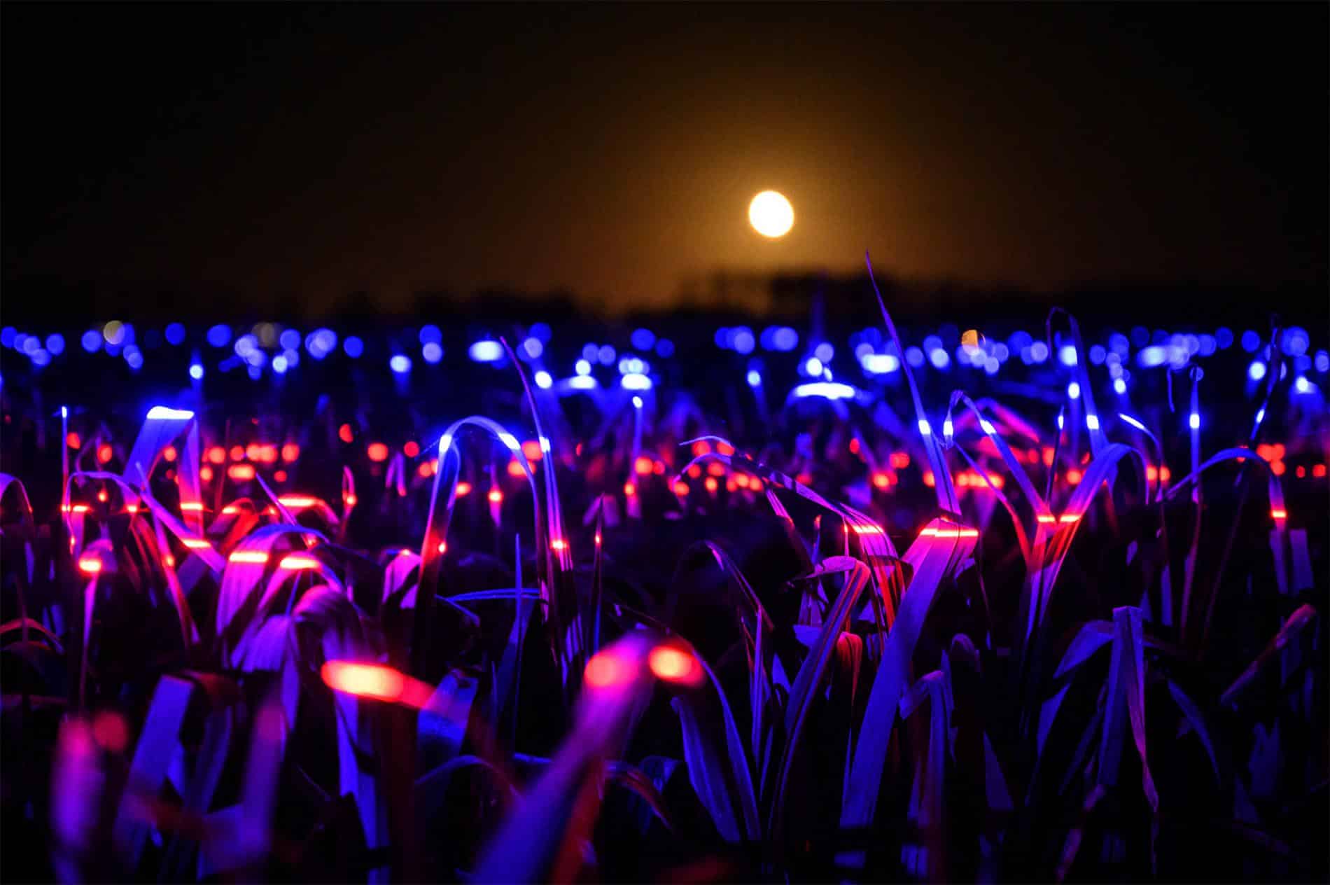 roosegaarde STUDIO INTALACION LUCES ZOOM 2