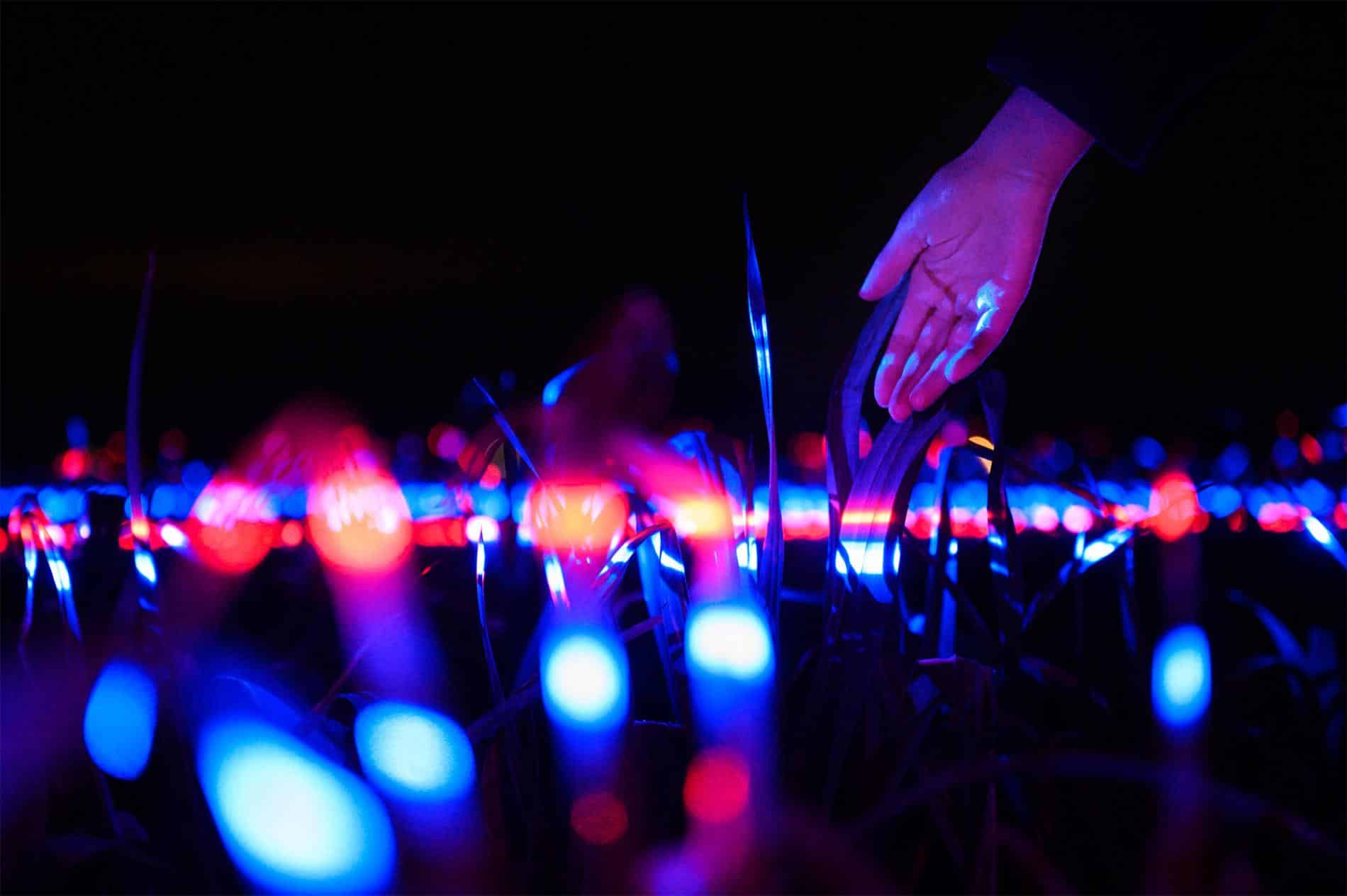 roosegaarde STUDIO INTALACION LUCES ZOOM