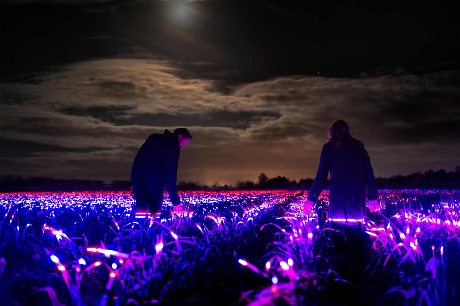 roosegaarde STUDIO INTALACION LUCES