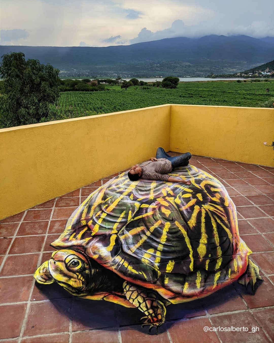 tortuga arte anamorfico carlos alberto gh