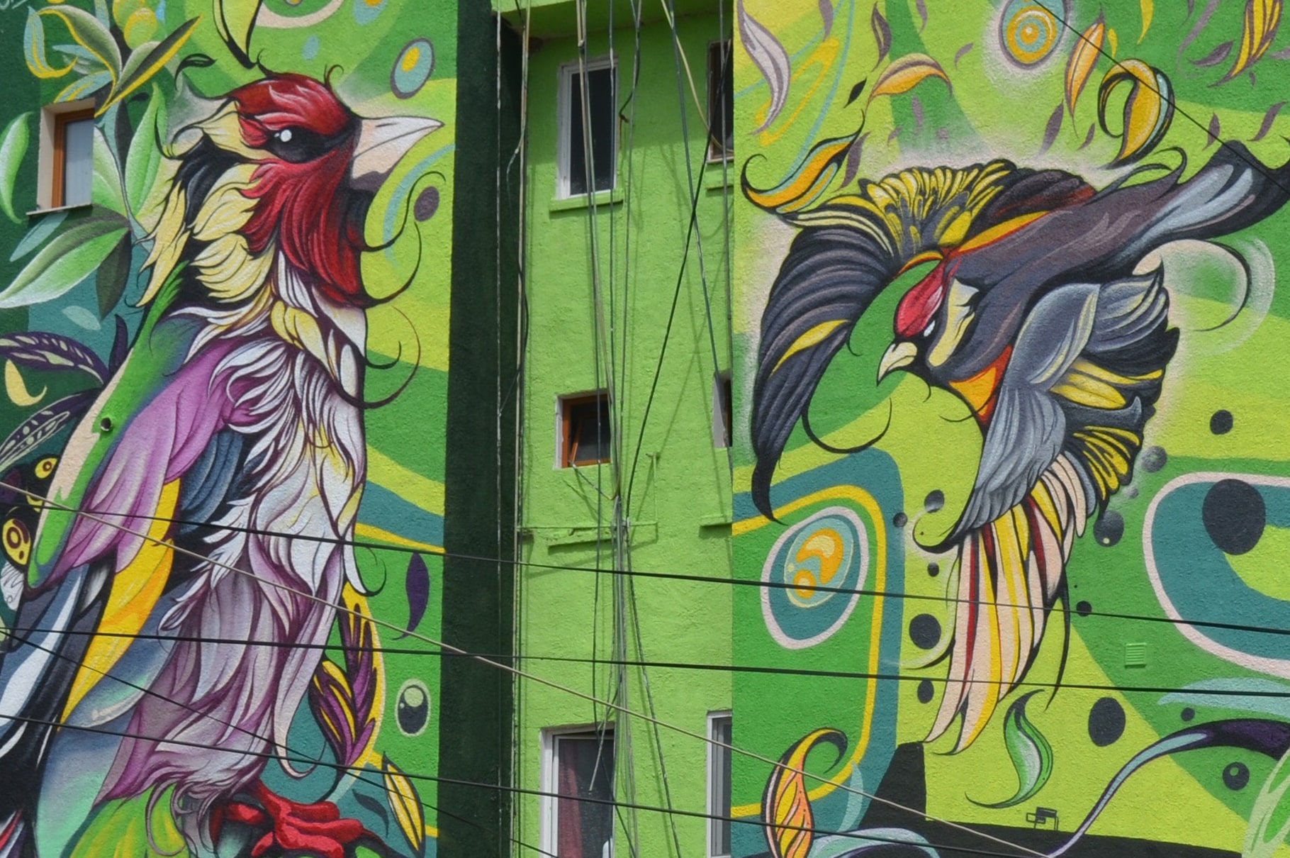abves edificio fio silva murales detalle